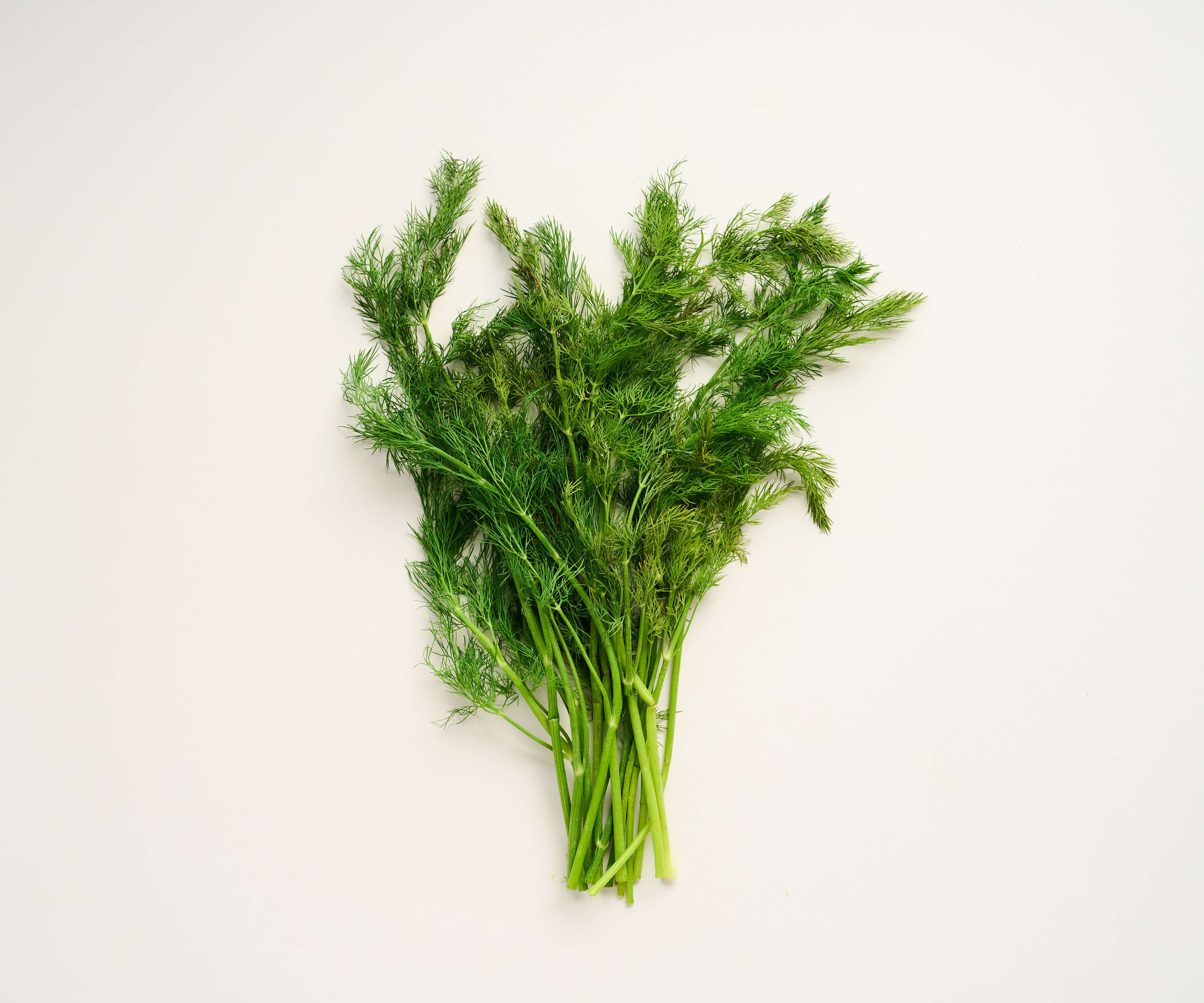 Dill 30g