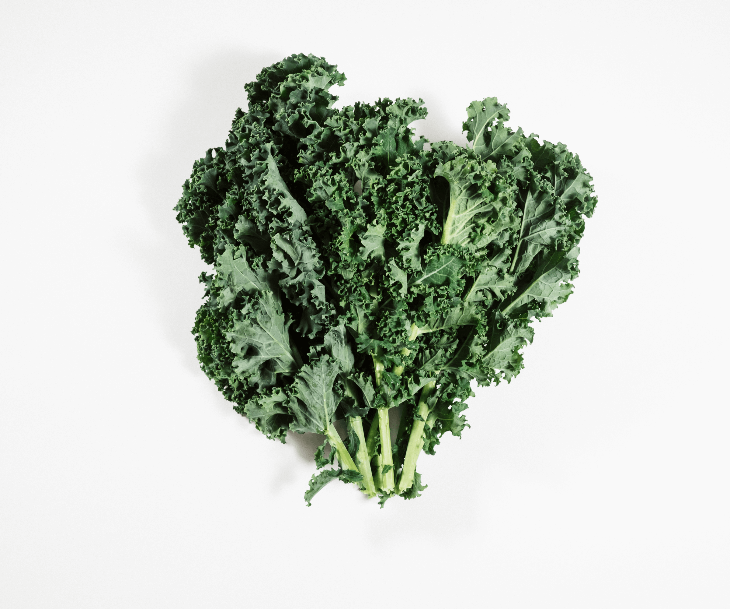 Couve Kale Verde Orgânica