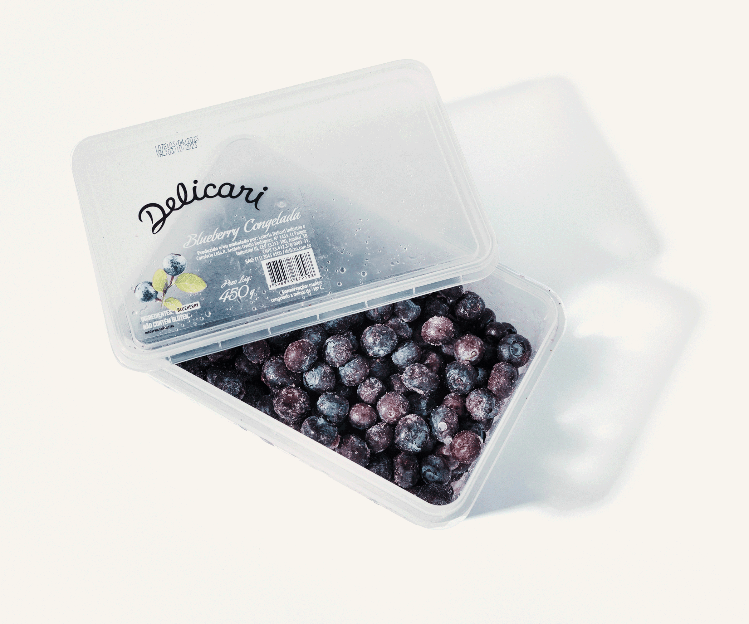 Blueberry congelado 450g