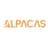 Alpacas