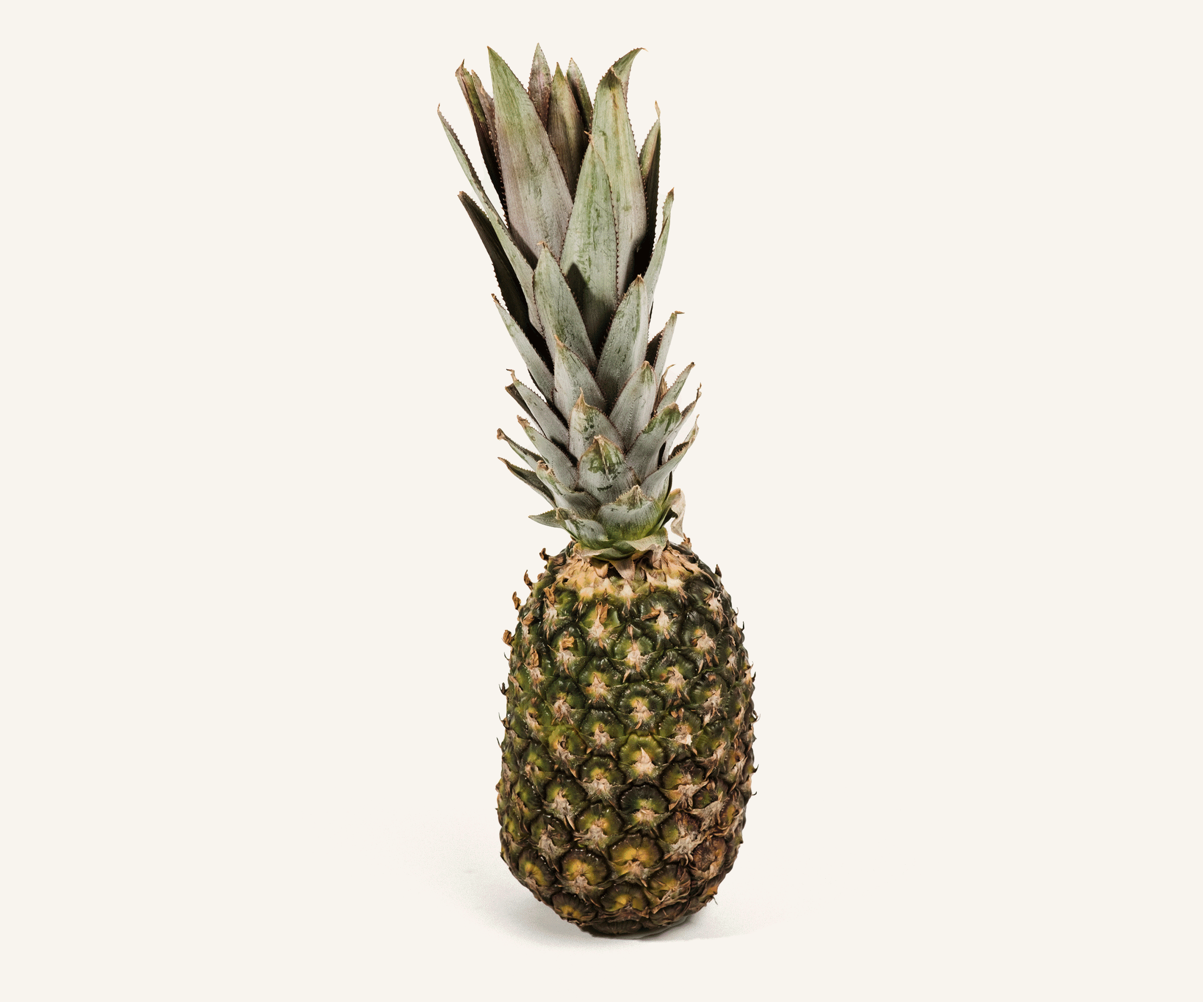 Abacaxi Pérola 1und | 1kg