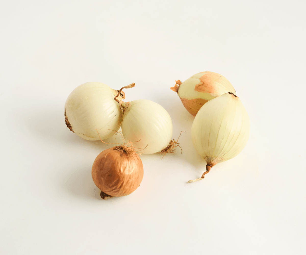 Cebola orgânica 600g | 3 a 6und