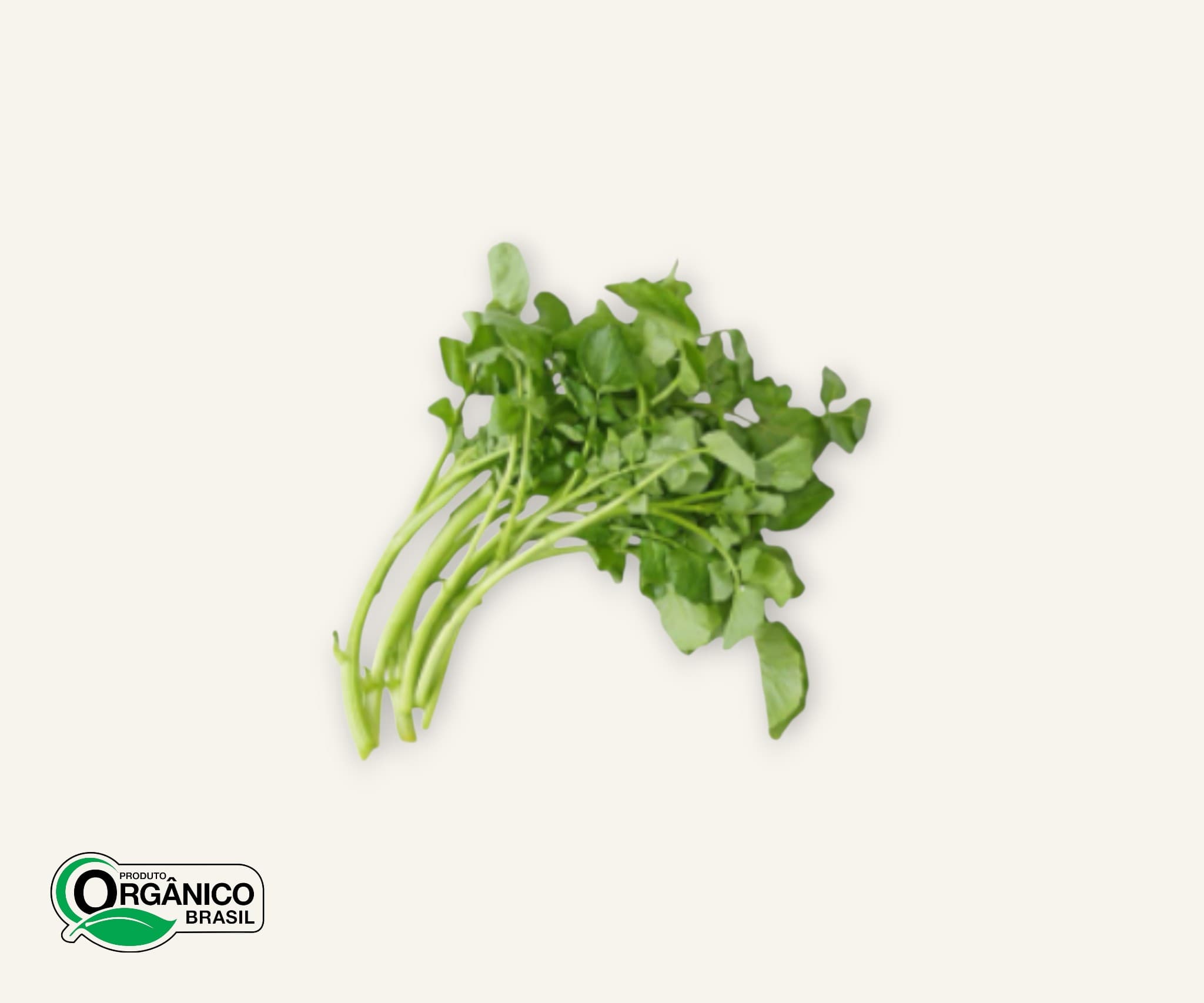 Agrião orgânico 150g