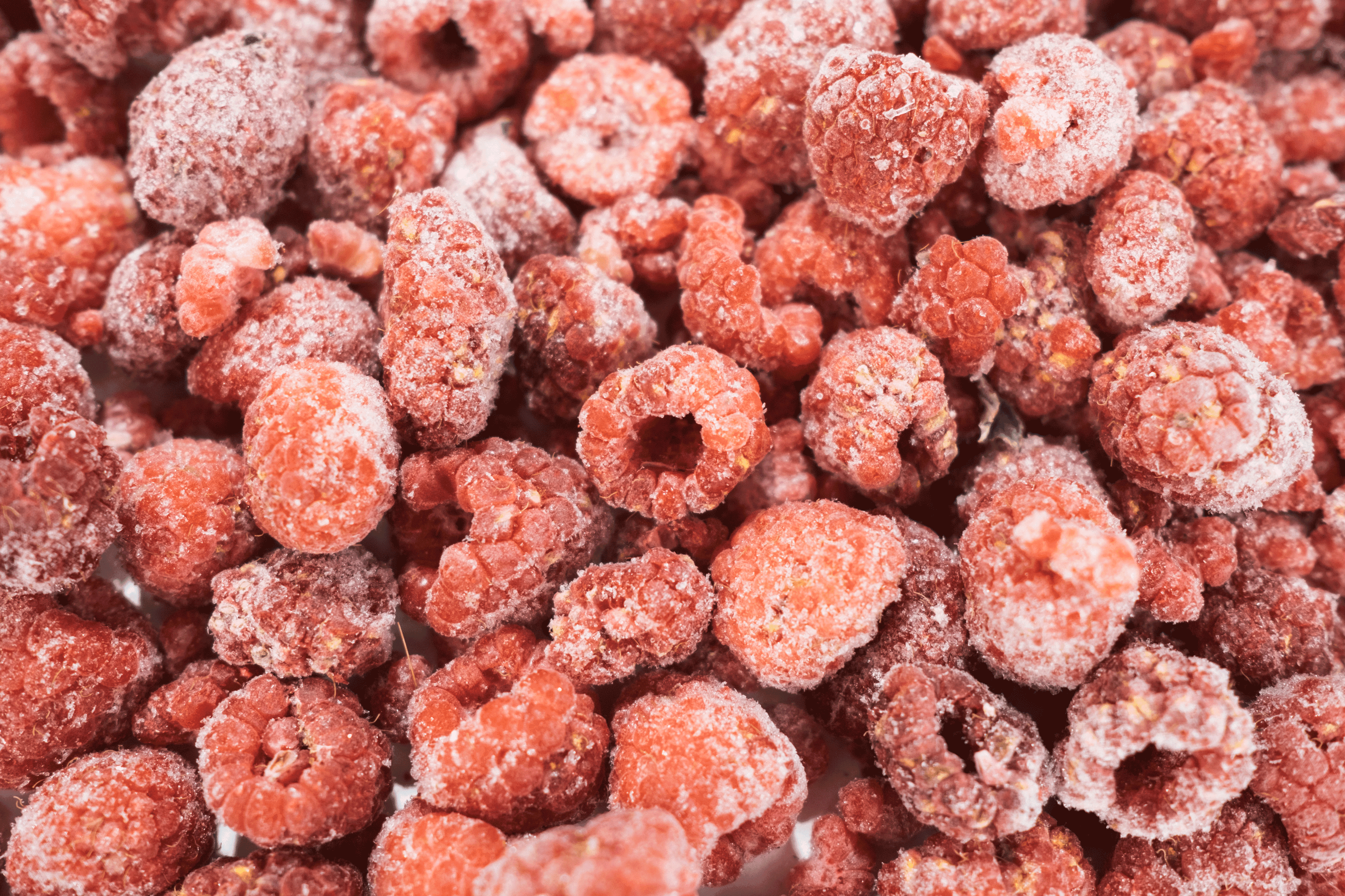 Framboesa orgânica congelada 1kg