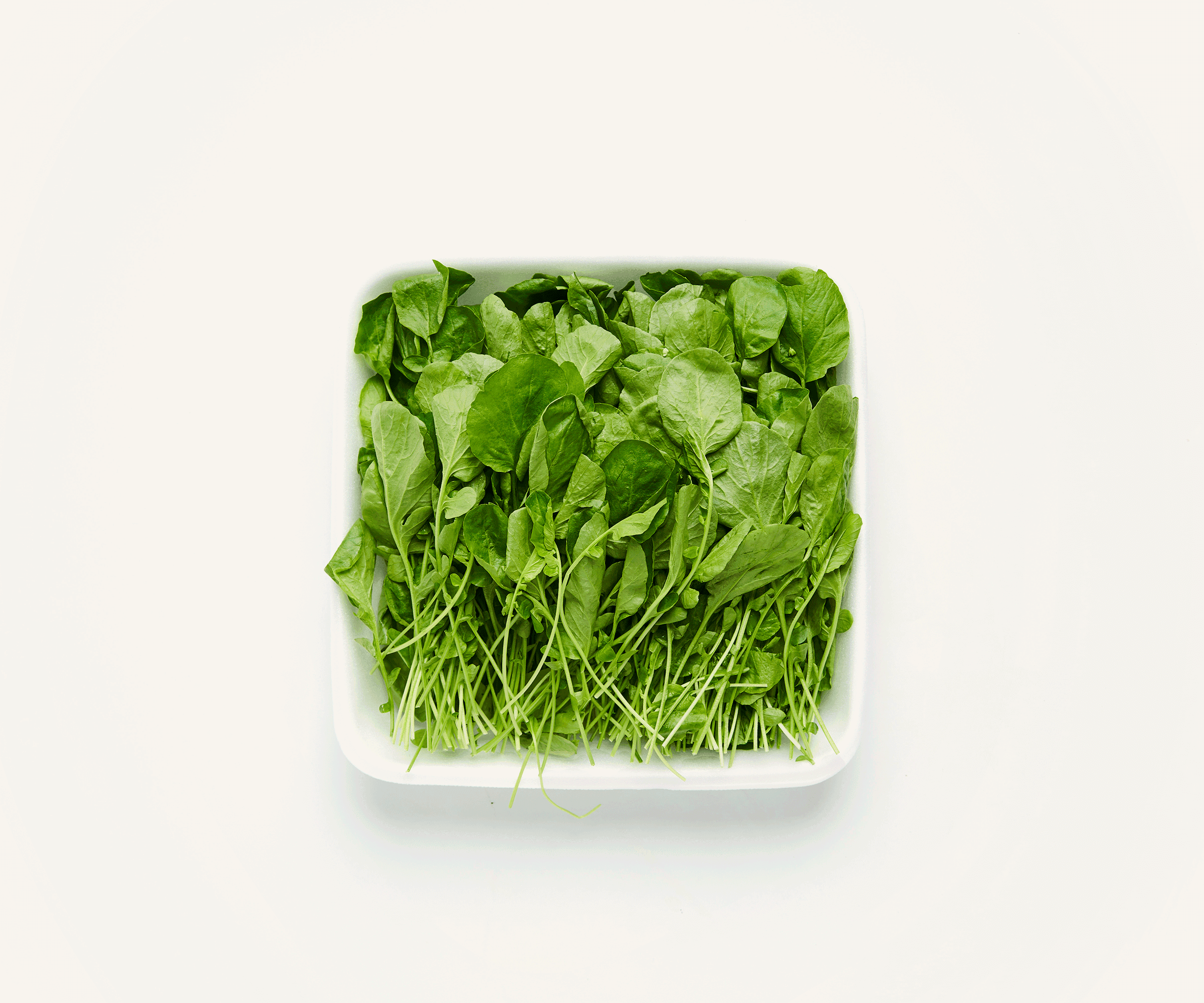Agrião higienizado 250g