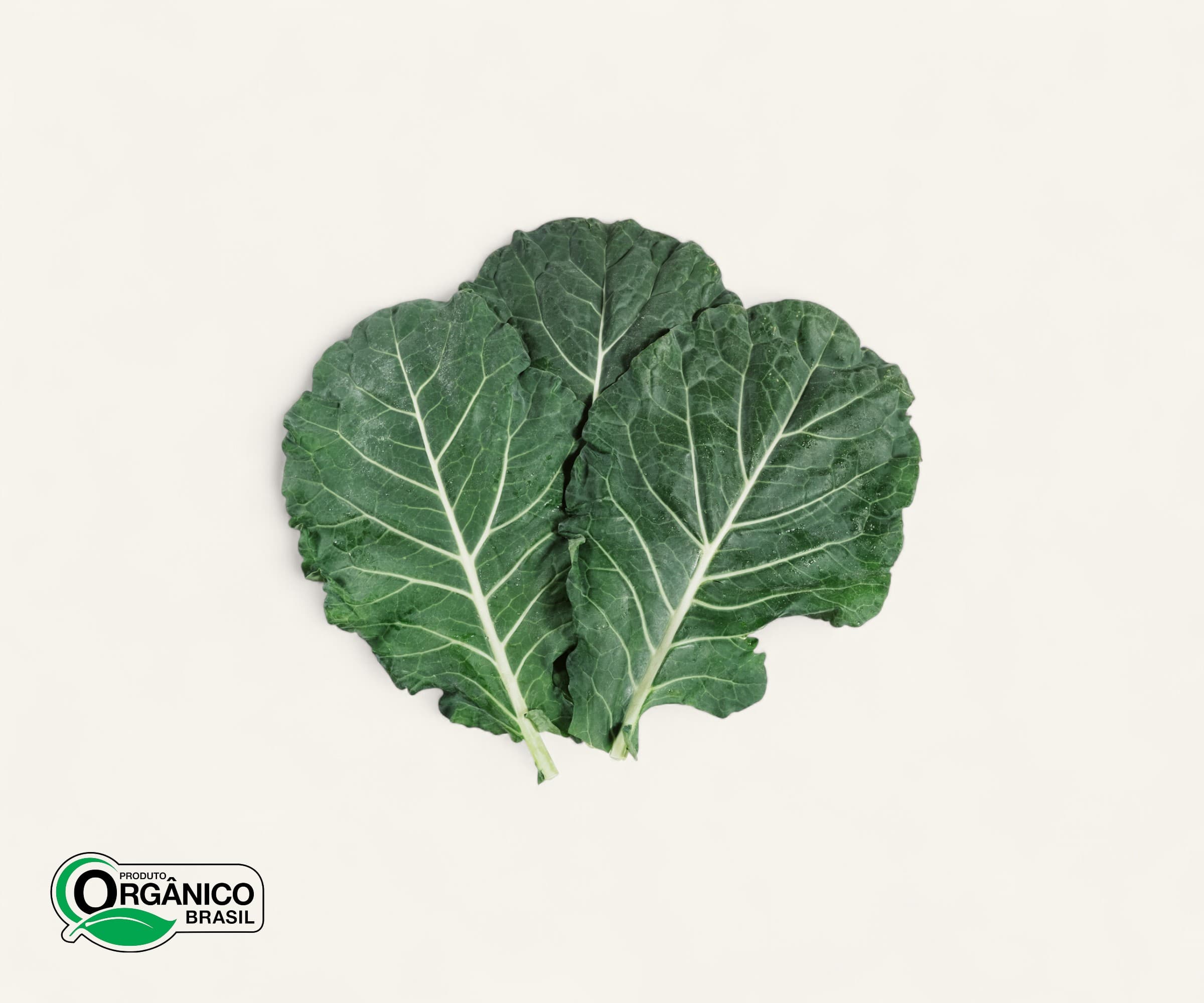 Couve manteiga orgânica 250g