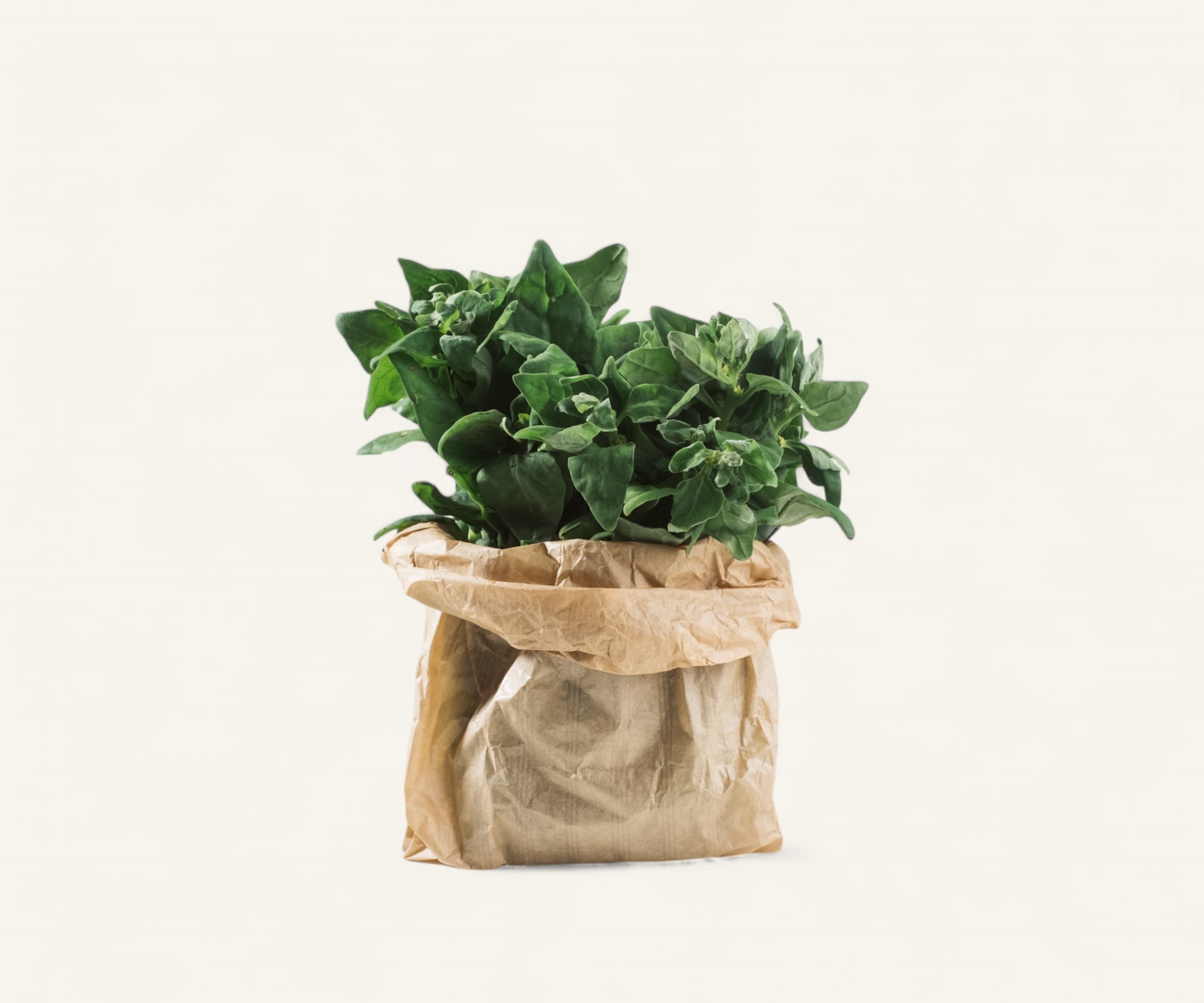 Espinafre orgânico 200g