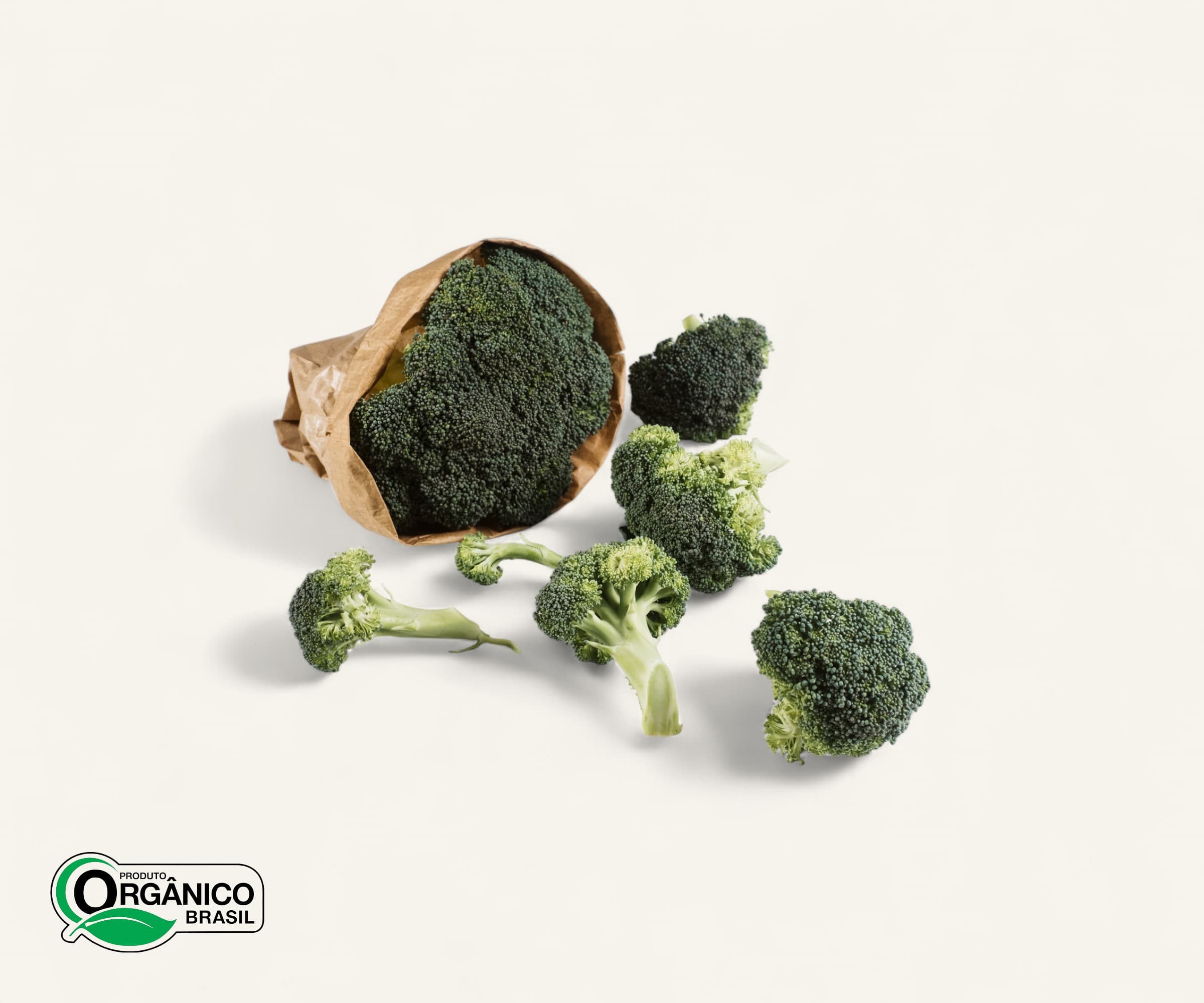 Brócolis ninja orgânico 250g | 1un