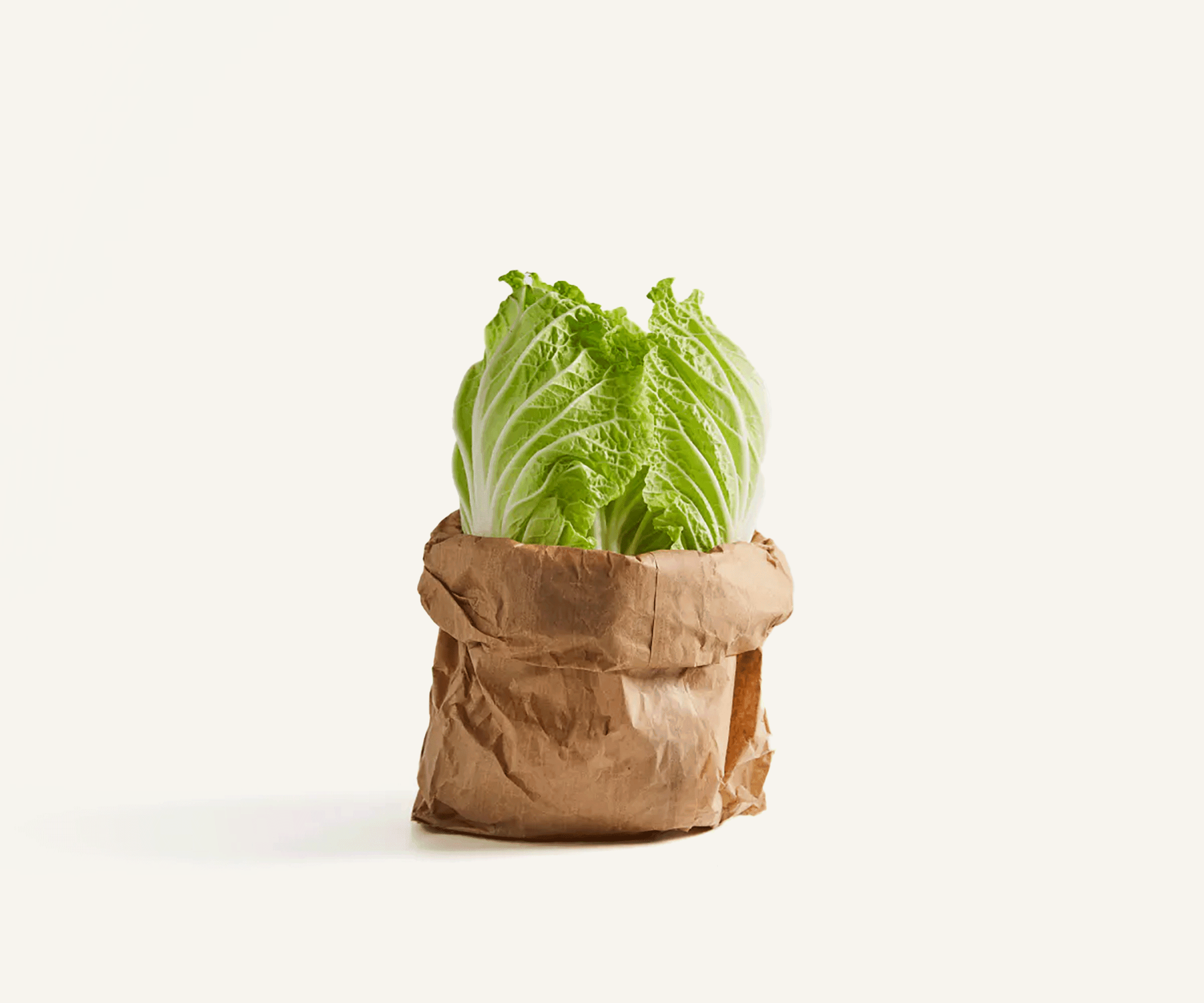 Acelga orgânica 200g
