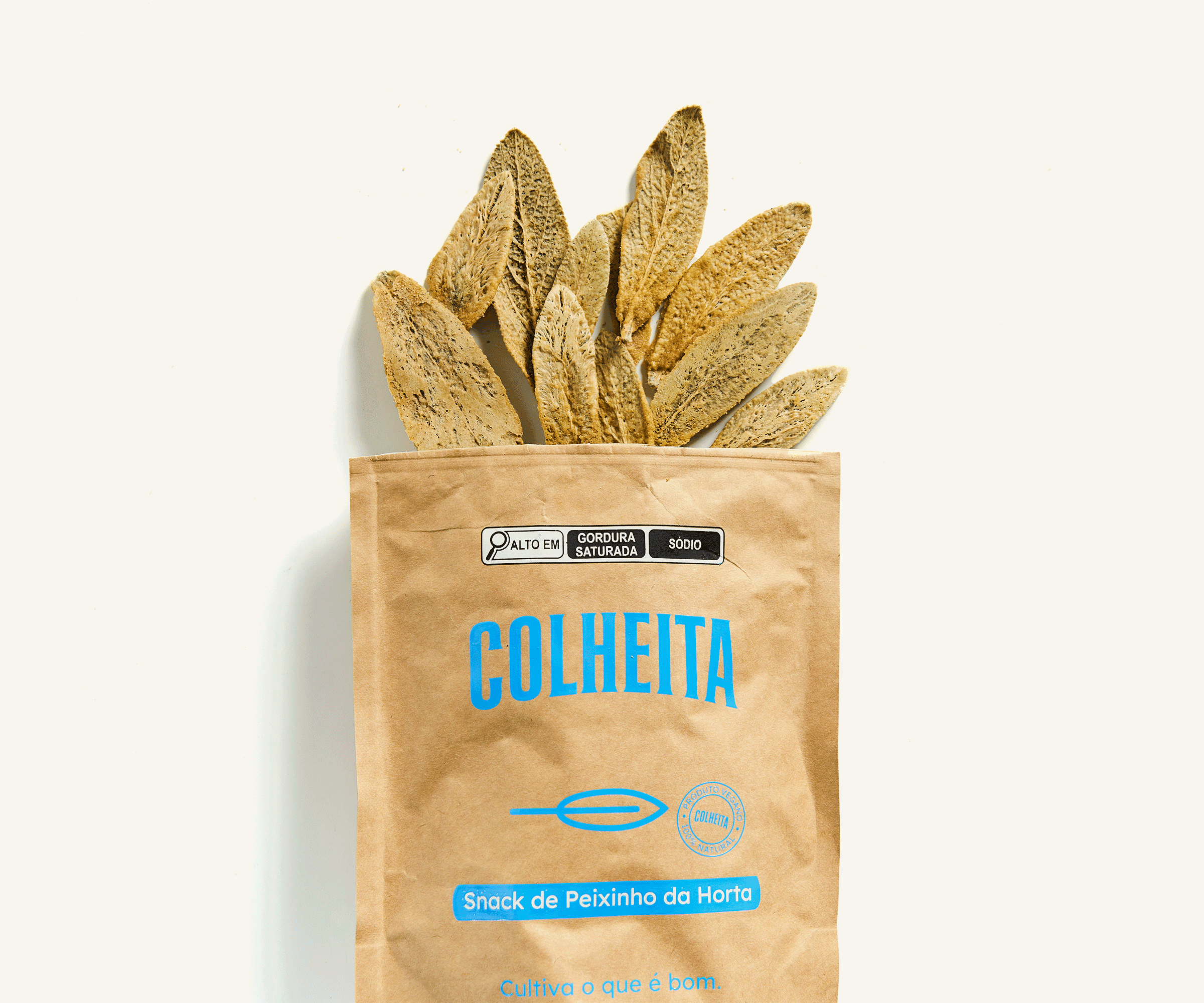 Snack de peixinho 40g