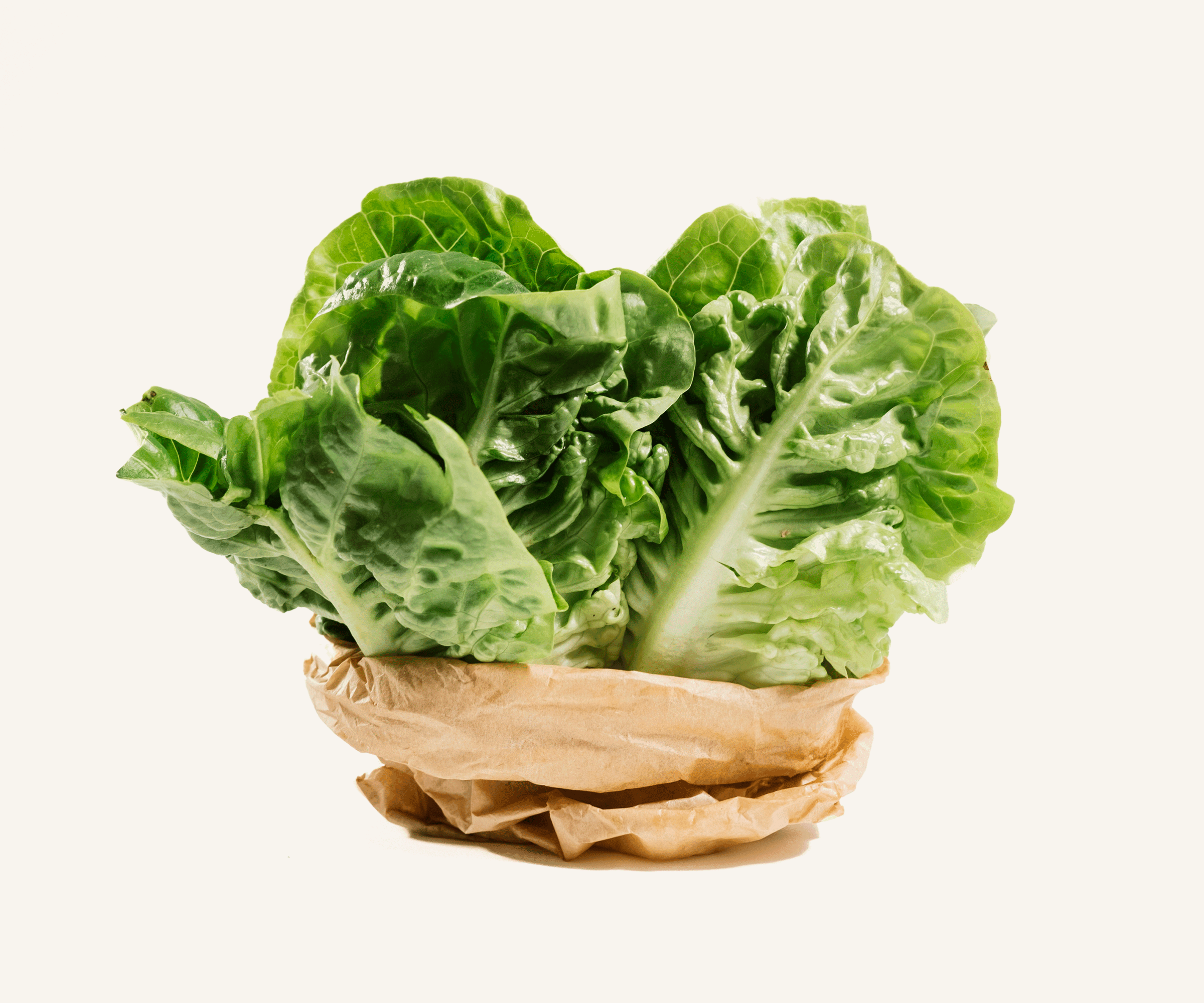 Mini Alface Romana Orgânica 100g
