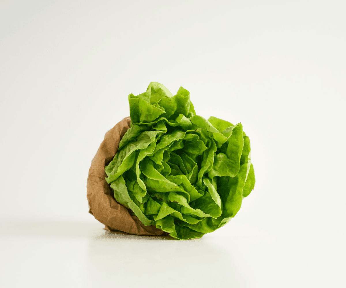 Alface lisa orgânica 150g
