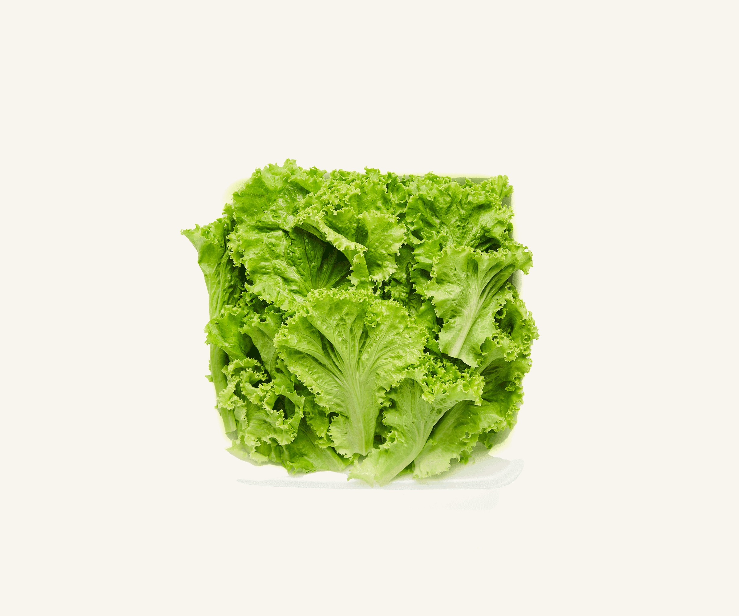 Alface crespa higienizada 250g