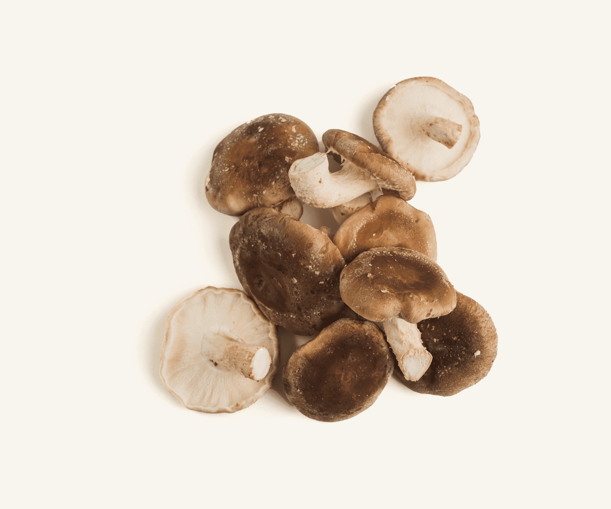 Cogumelo shitake fresco 200g