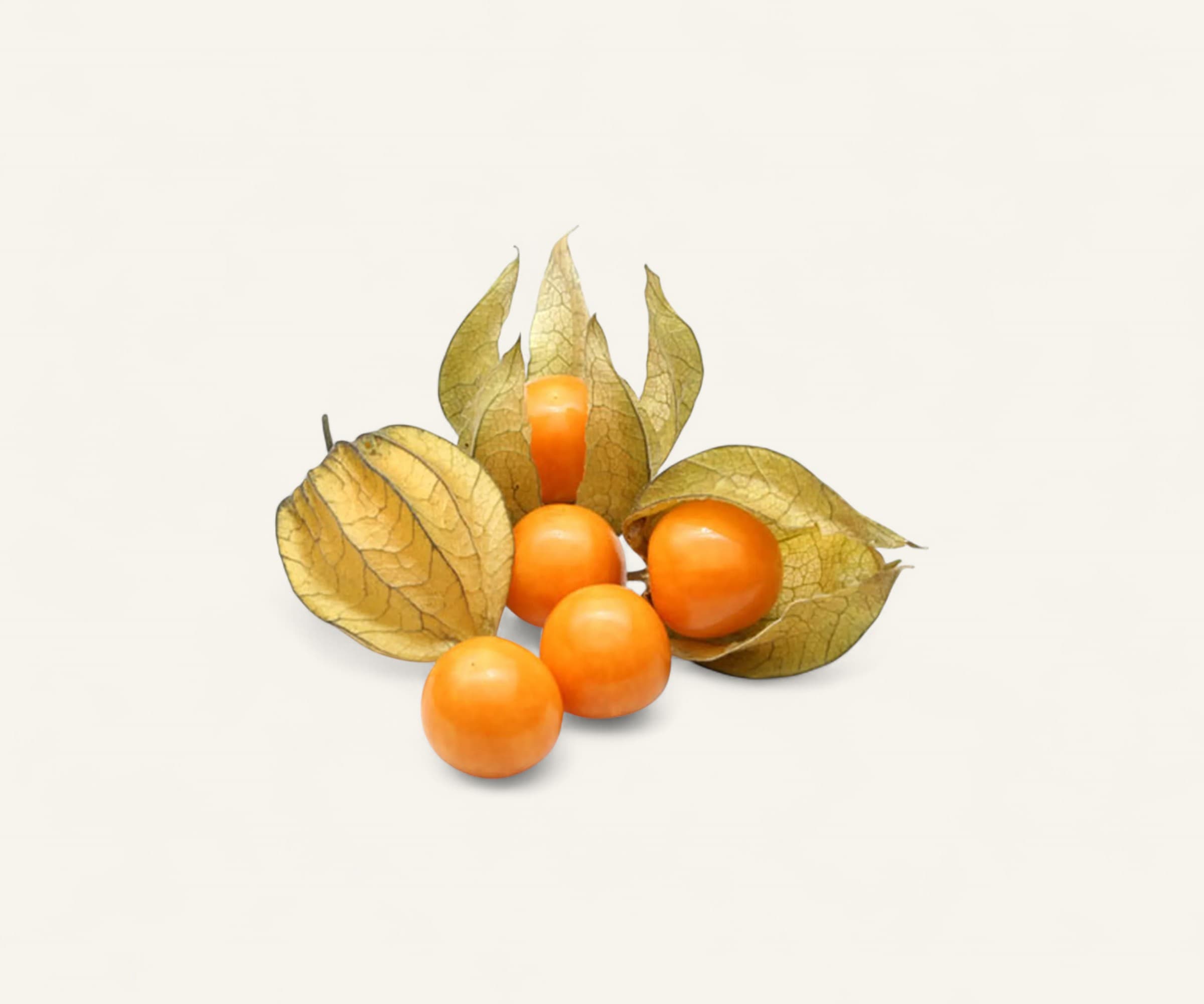 Physalis 100g