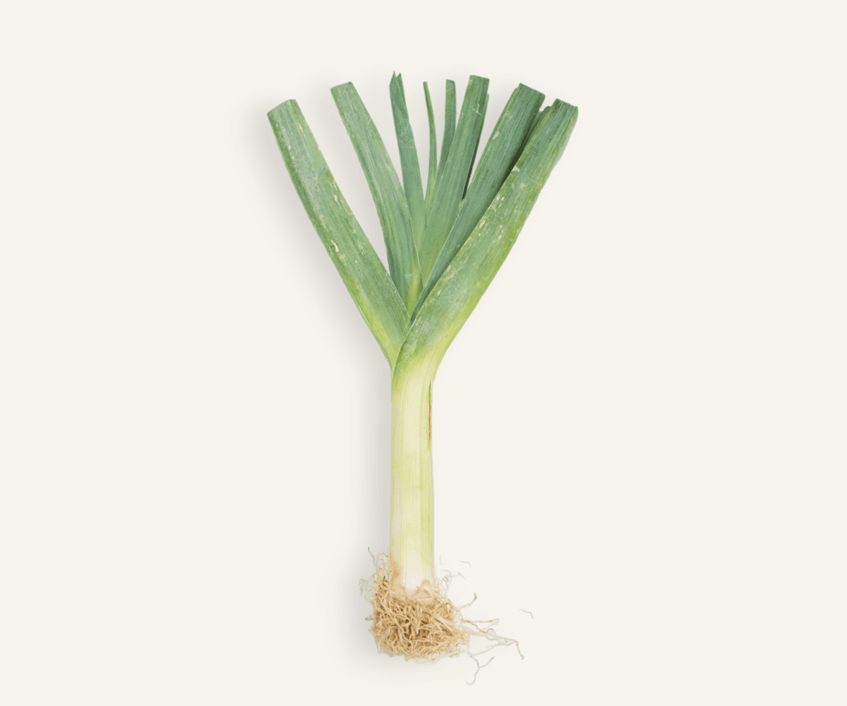 Alho Poró 250g