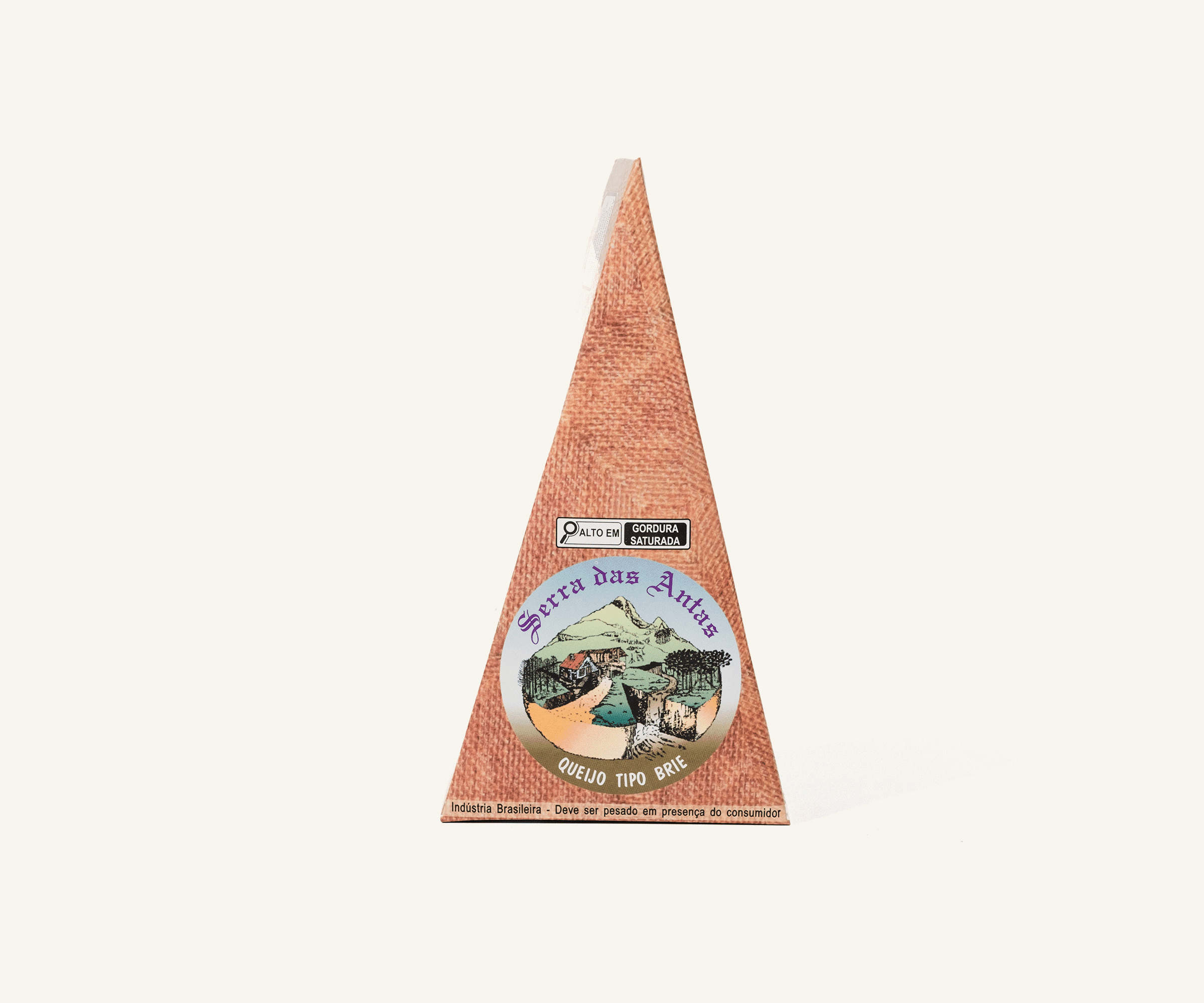 Queijo tipo brie 220g
