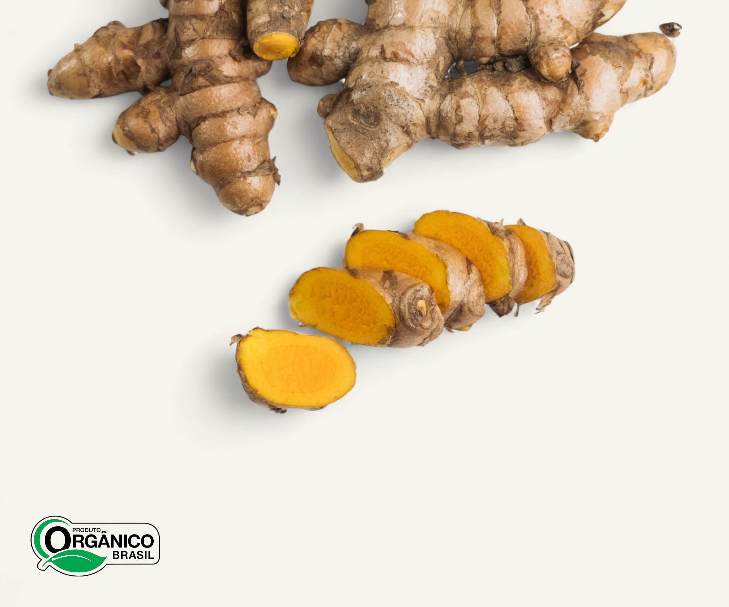 Açafrão orgânico 150g | 5und