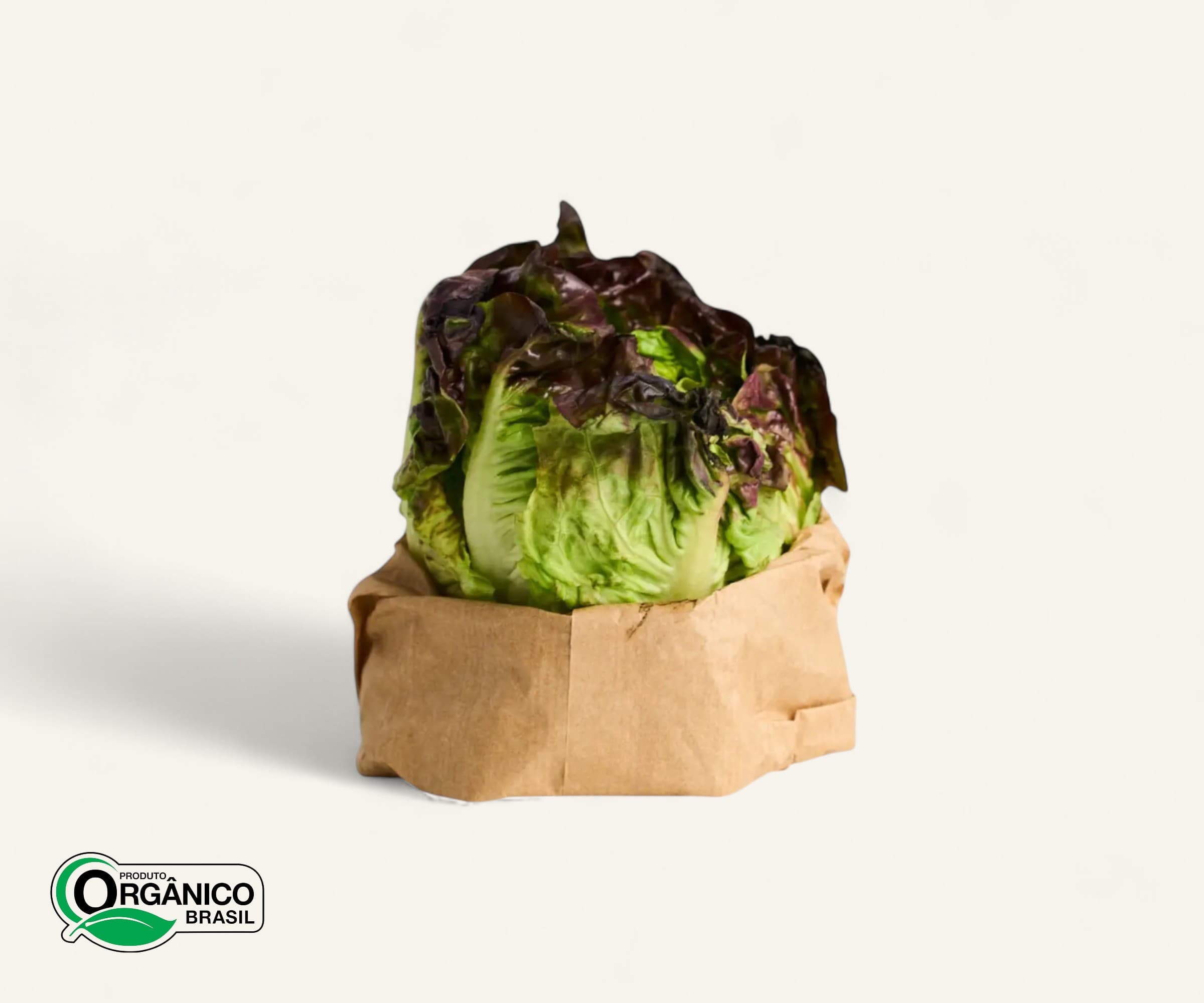 Alface roxa orgânica 150g