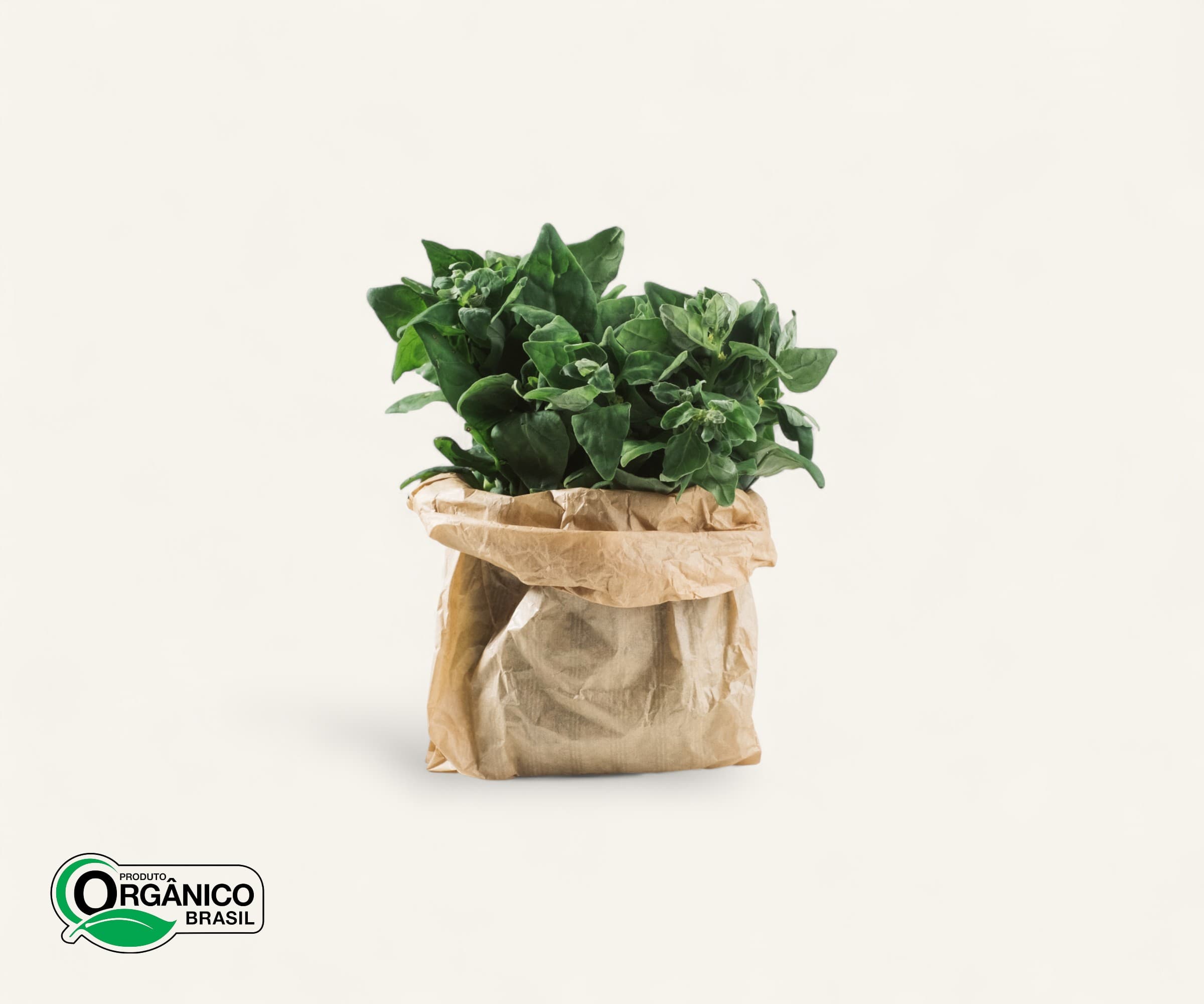 Espinafre orgânico 200g