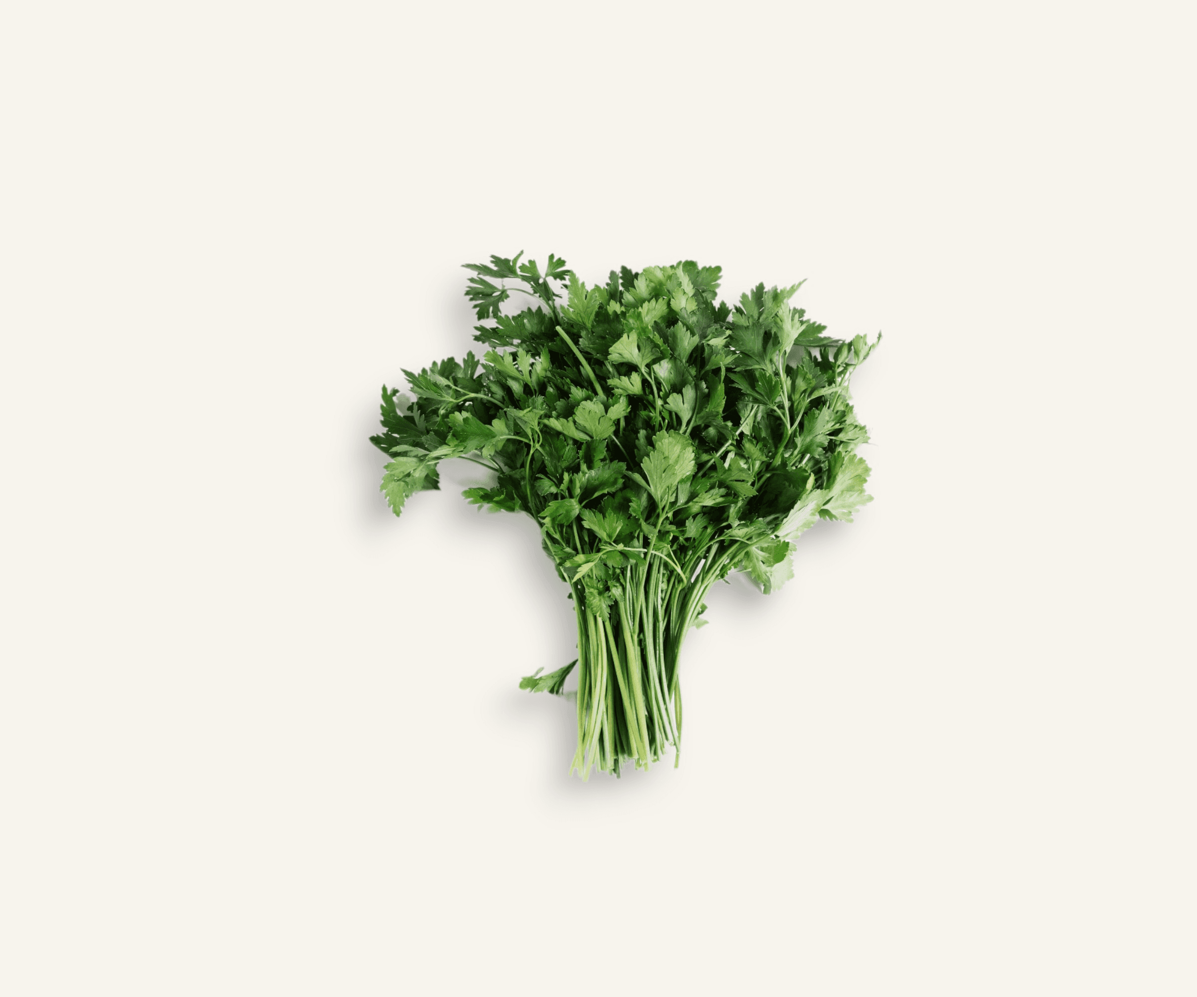 Salsinha orgânica 100g