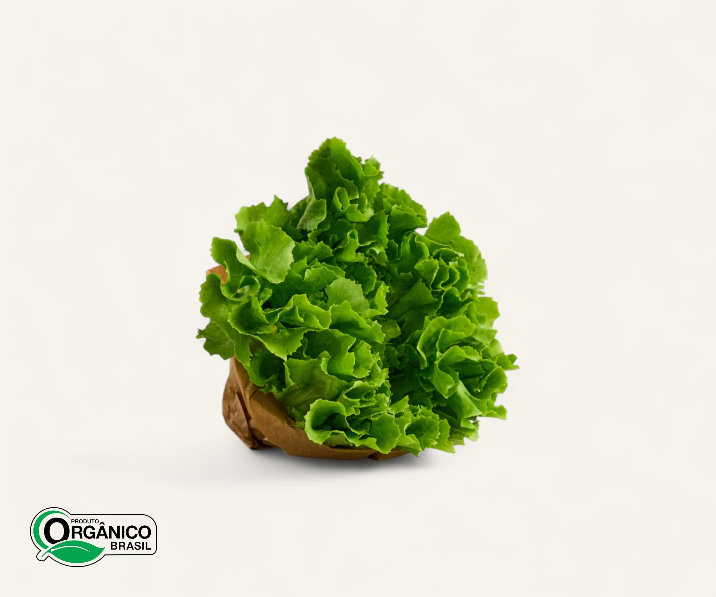 Escarola orgânica 200g