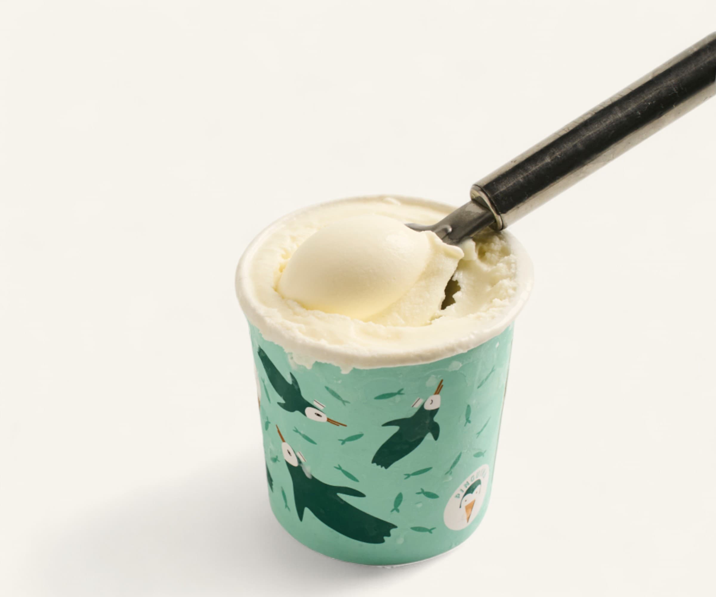 sorvete de cupuaçu 500ml