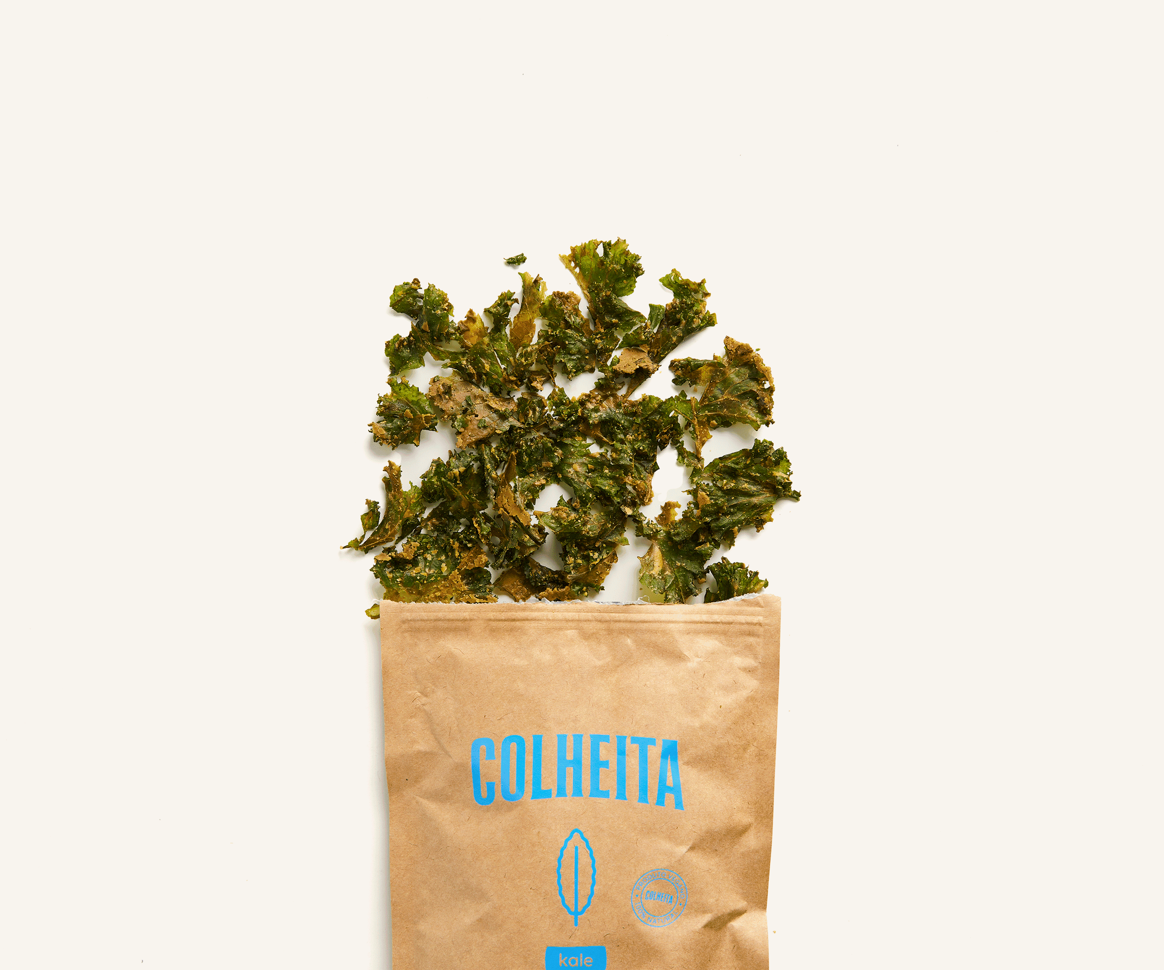 Snack de couve kale 40g