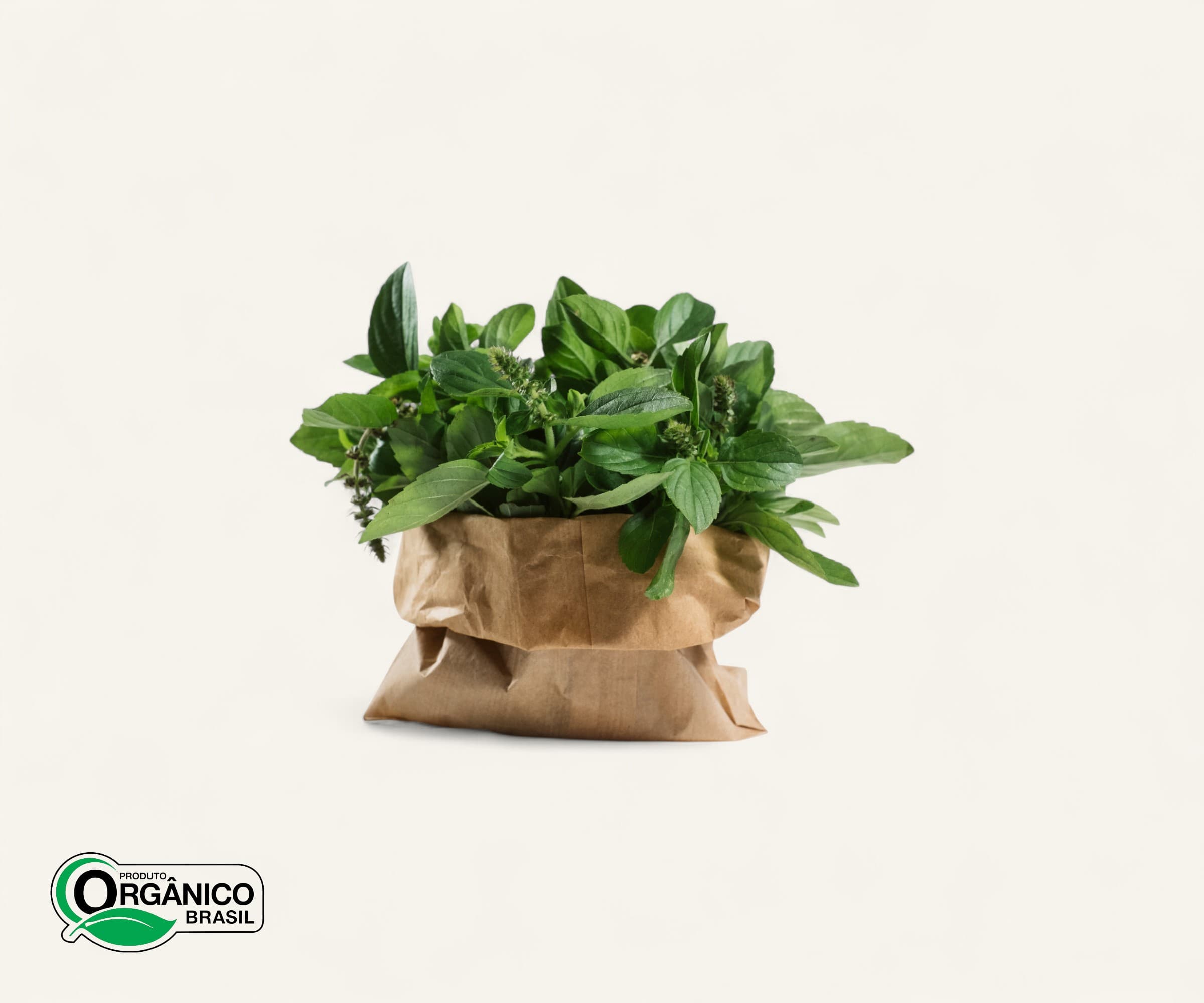Manjericão orgânico 100g
