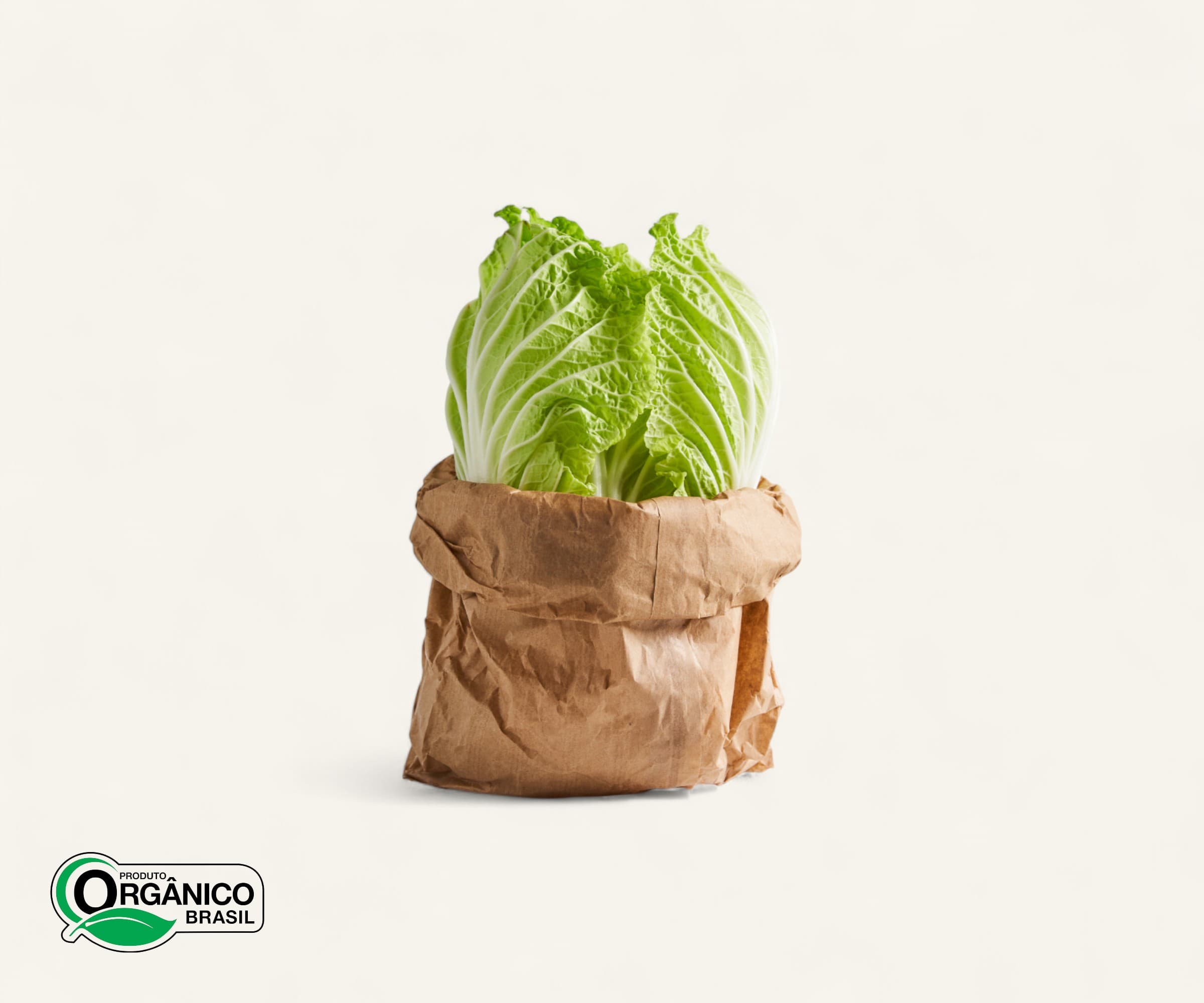 Acelga orgânica 200g