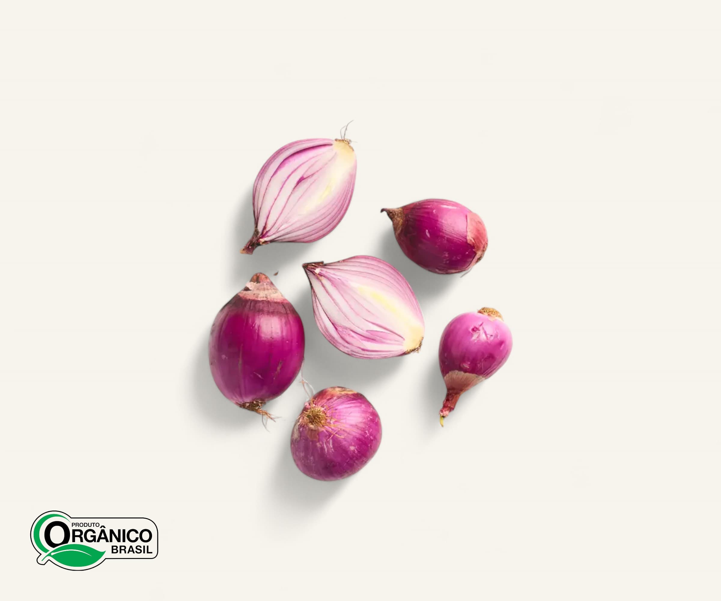 Cebola roxa orgânica aprox. 600g | 3 a 6un