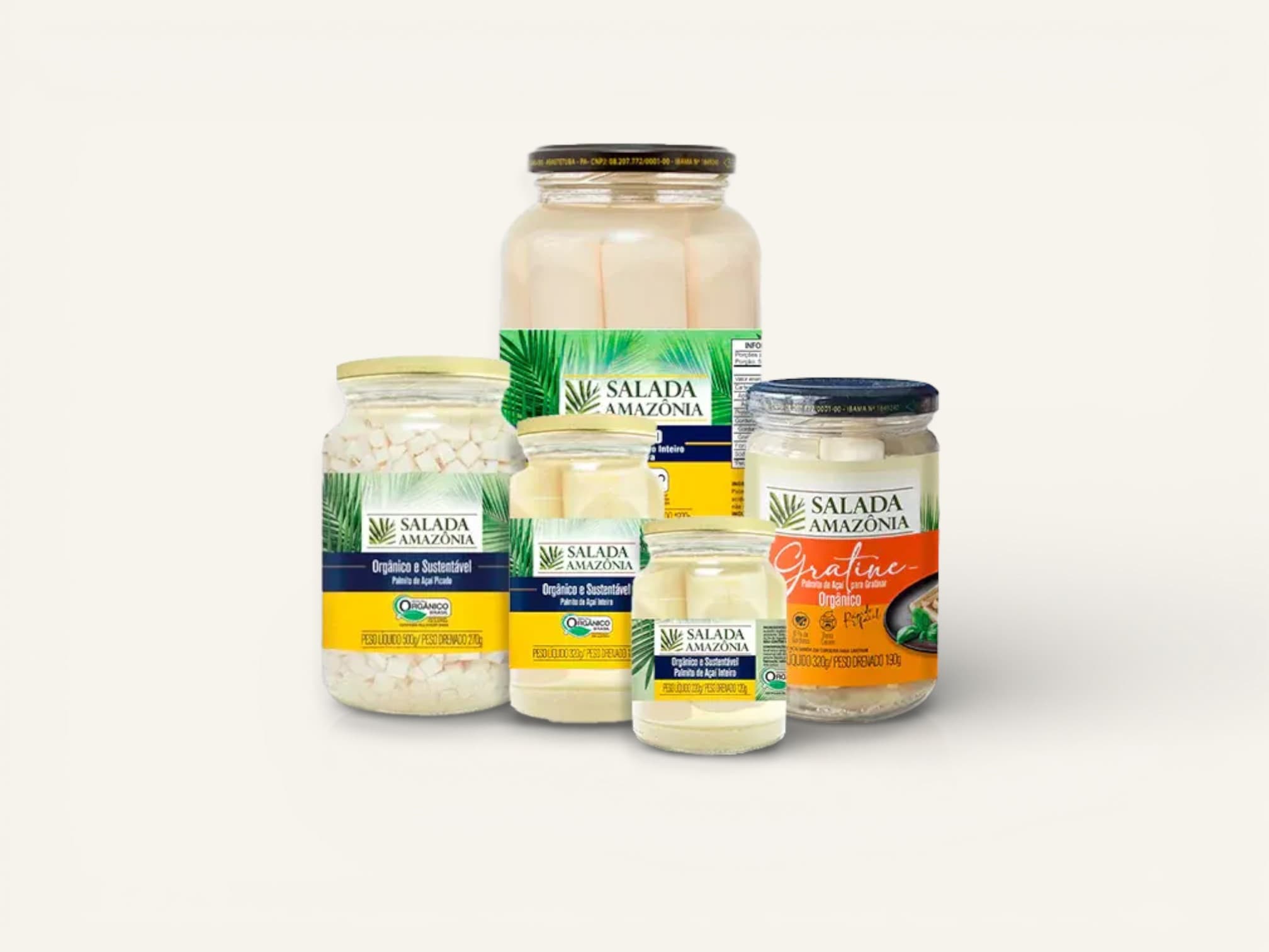 Banner de Salada Amazônia