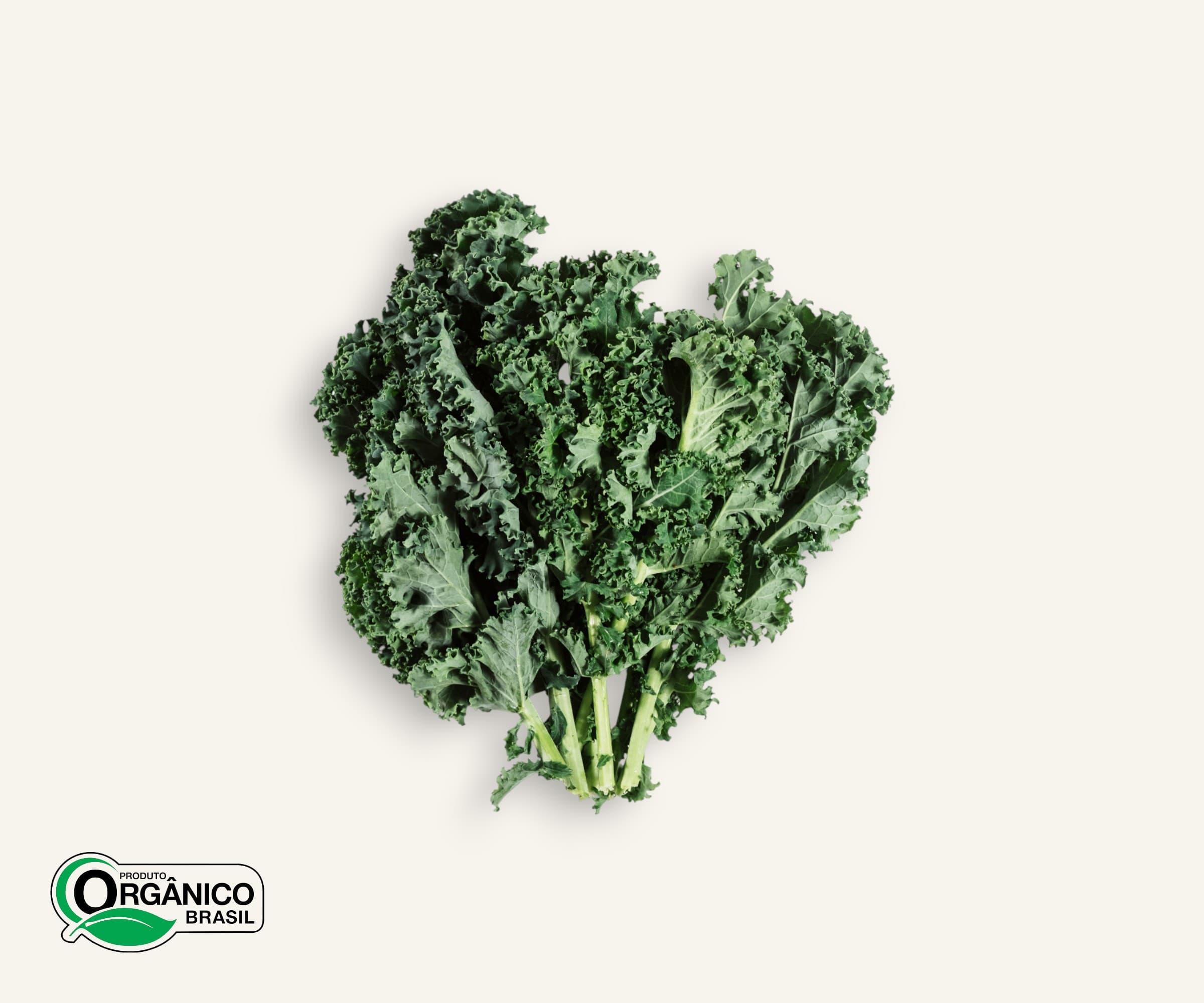 Couve Kale Verde orgânica 200g