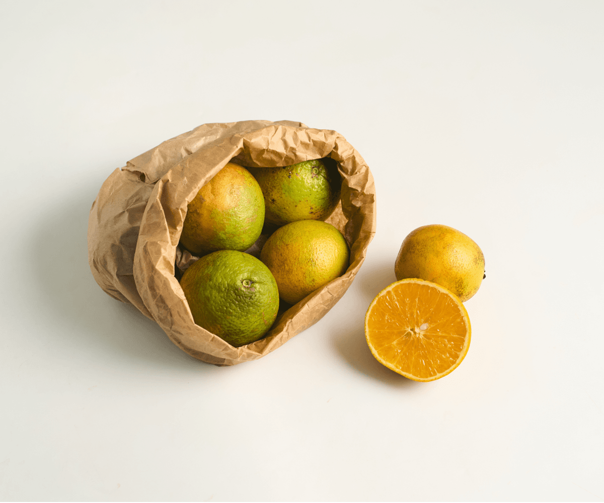 Laranja pera orgânica 1Kg | 4 a 6und