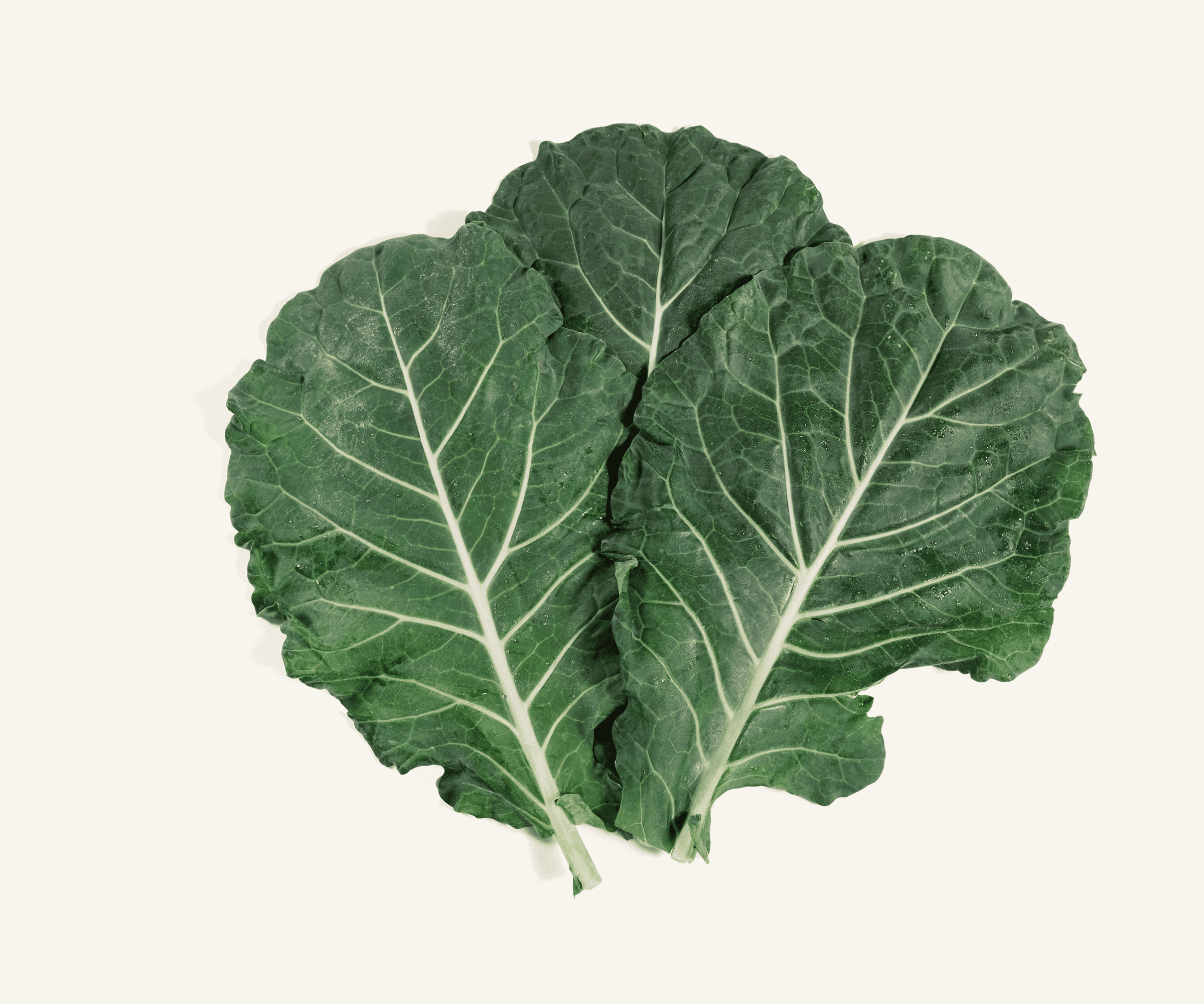 Couve Manteiga orgânica 250g