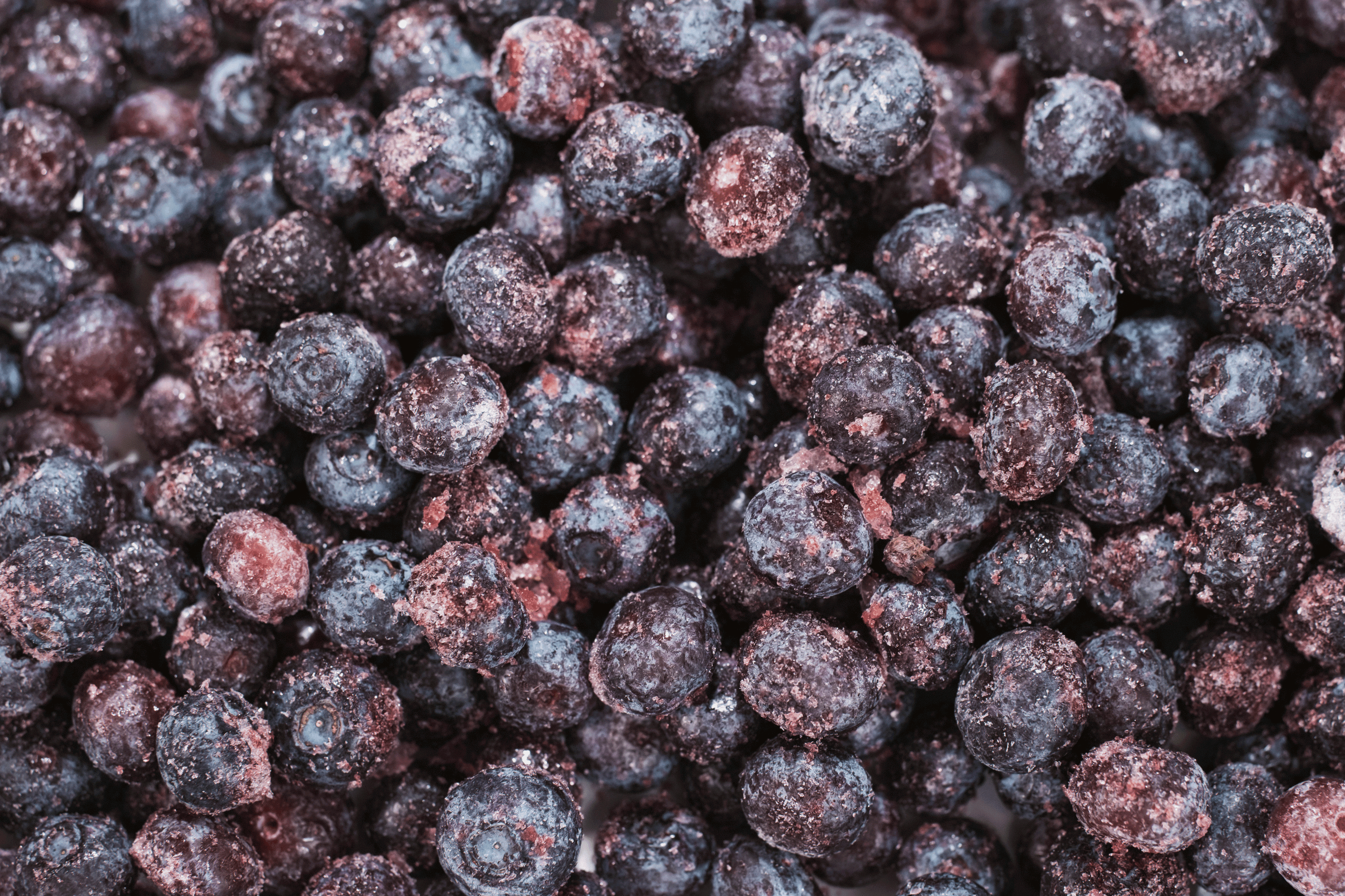 Mirtilo orgânico congelado 1kg