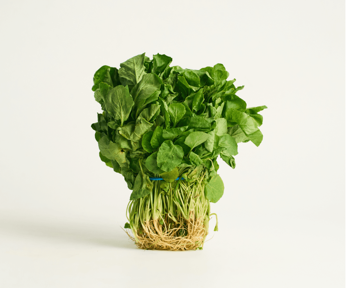 Rúcula orgânica 100g