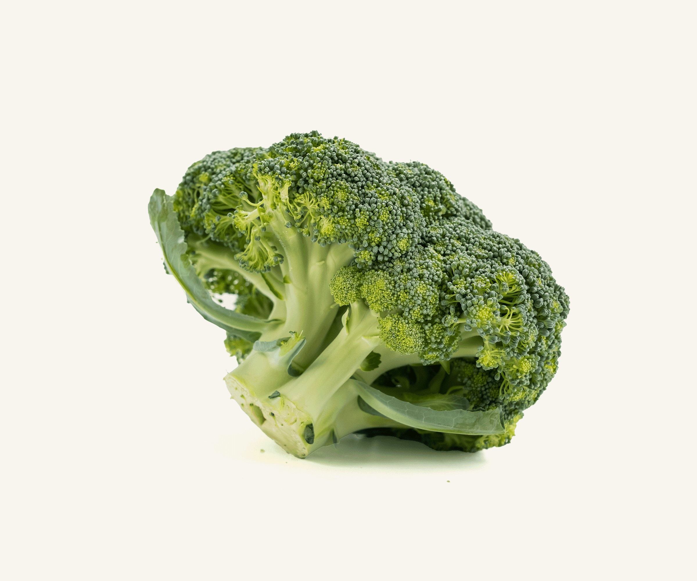 Brócolis ninja 300g | 1un