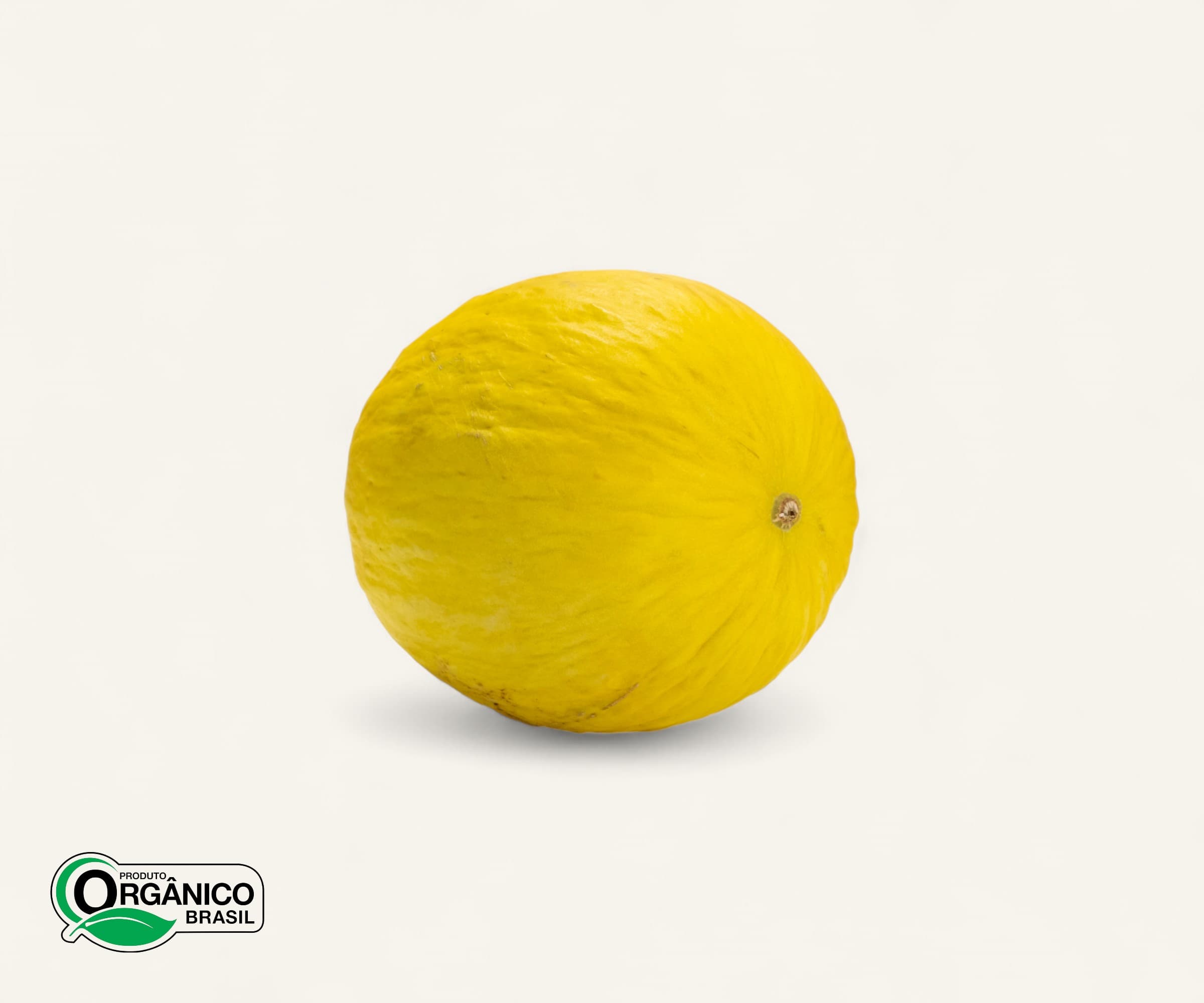 Melão amarelo orgânico 1un