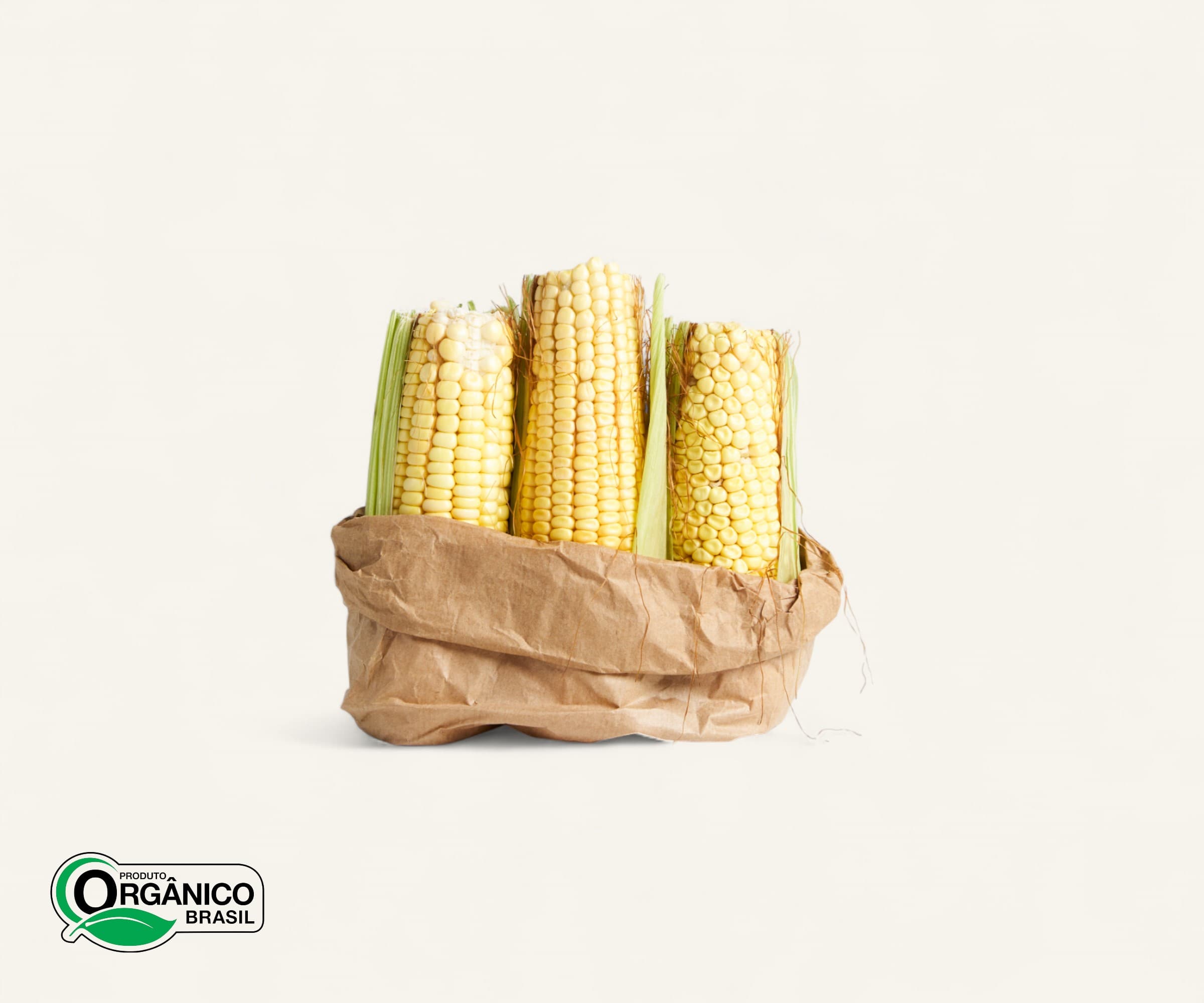 Milho verde orgânico 500g | 2 a 3un