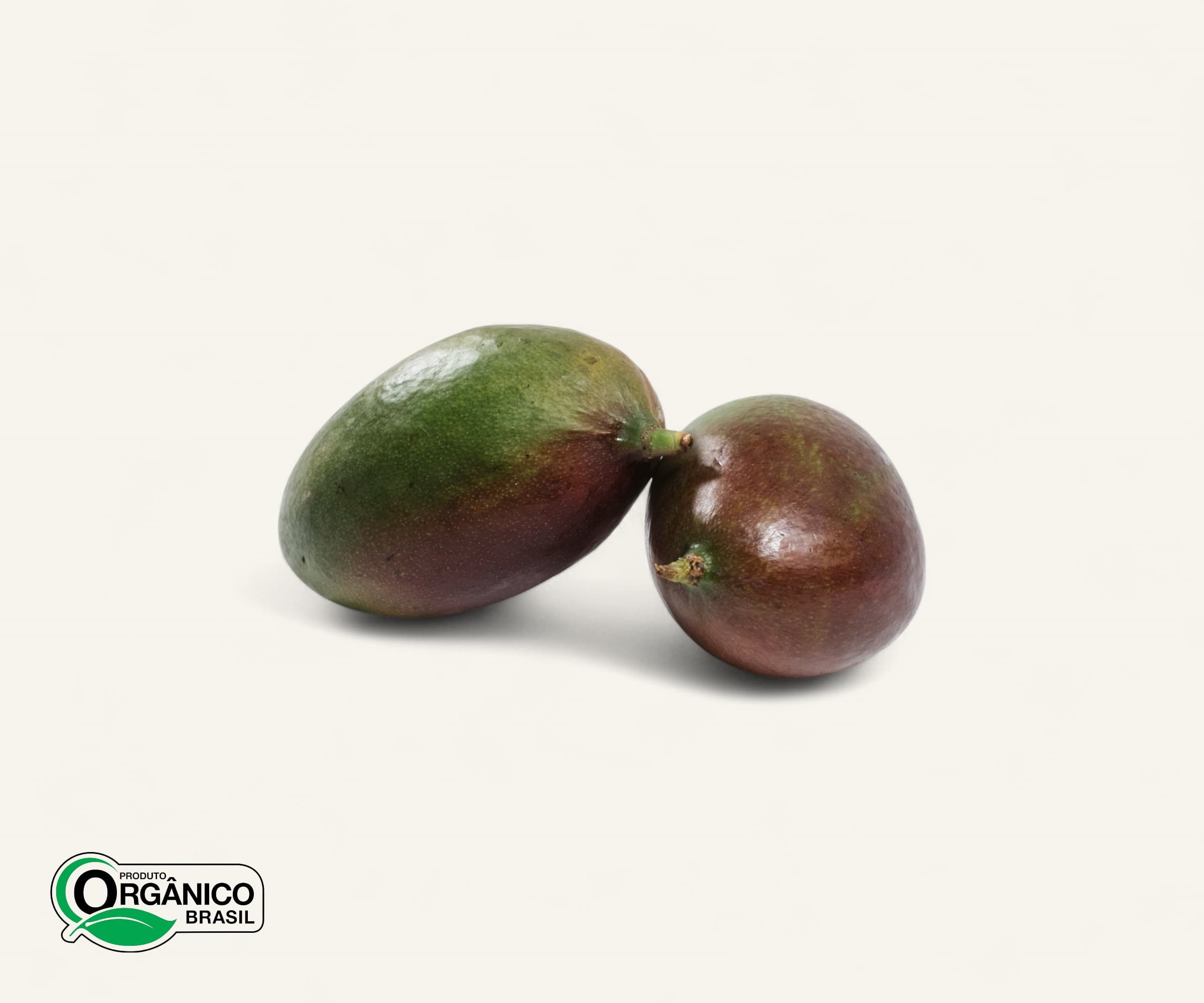 Manga orgânica 500g | 1 a 2un