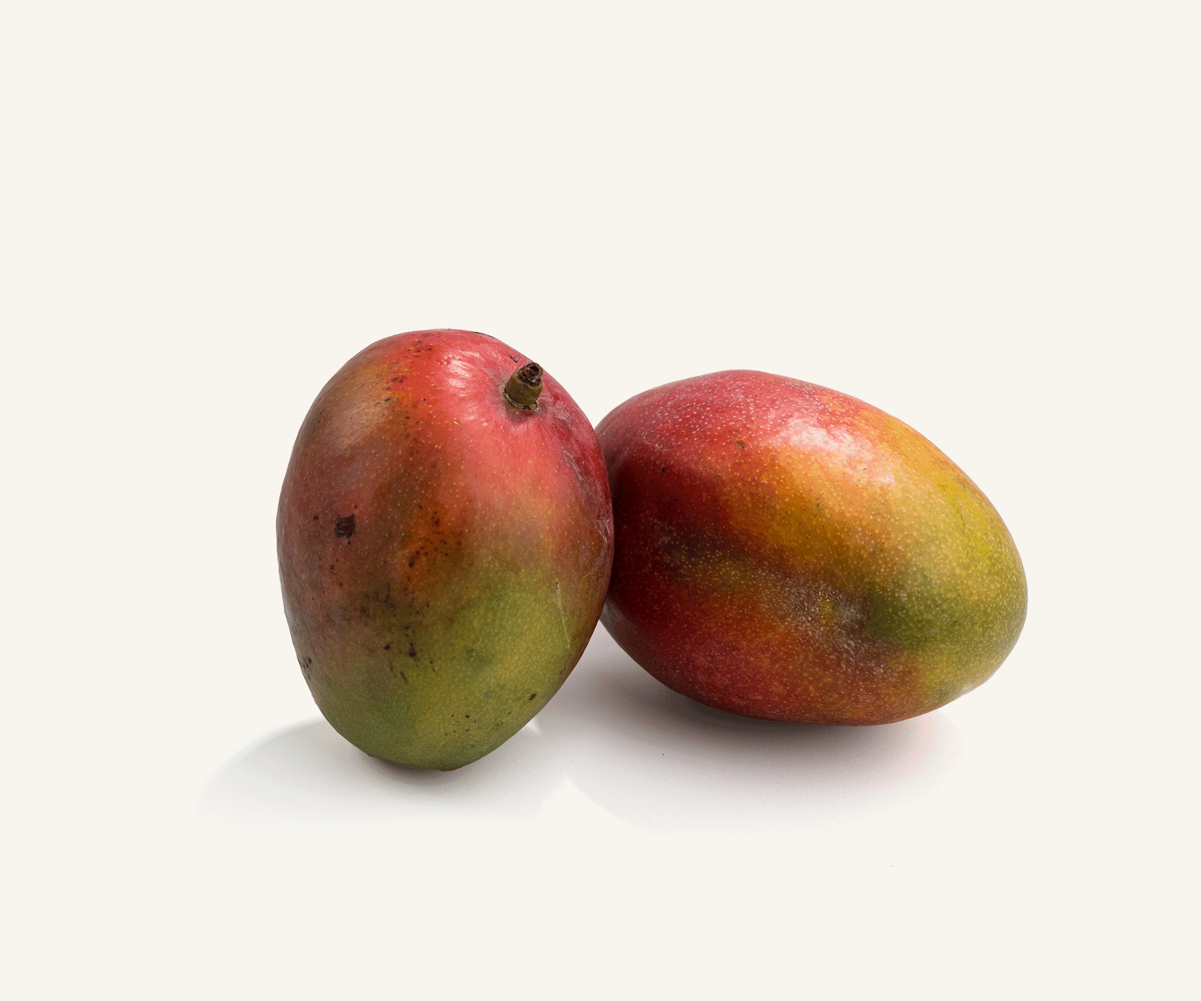 Manga palmer aprox. 600g | 1 a 2un