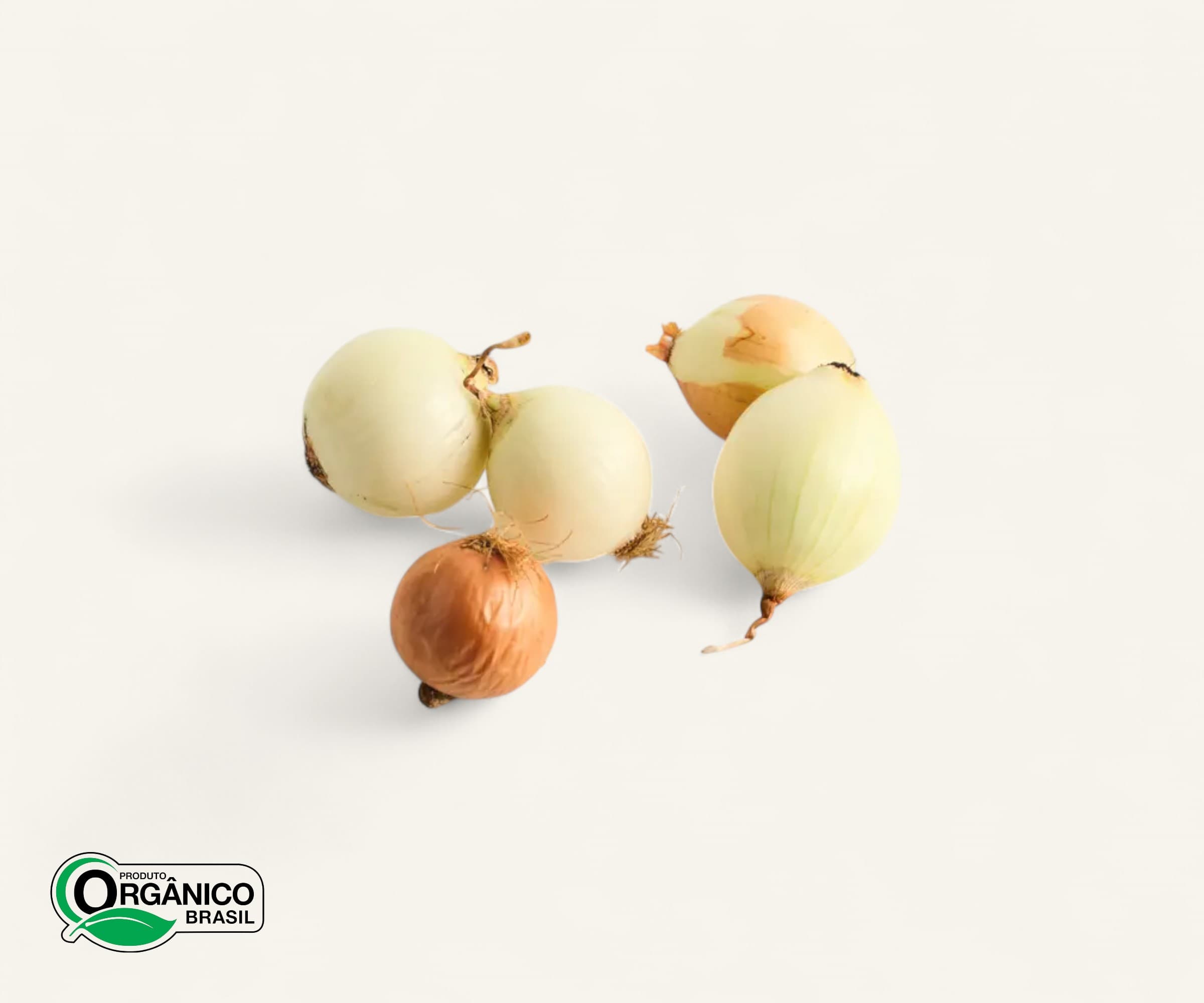 Cebola orgânica 600g | 3  a  6und