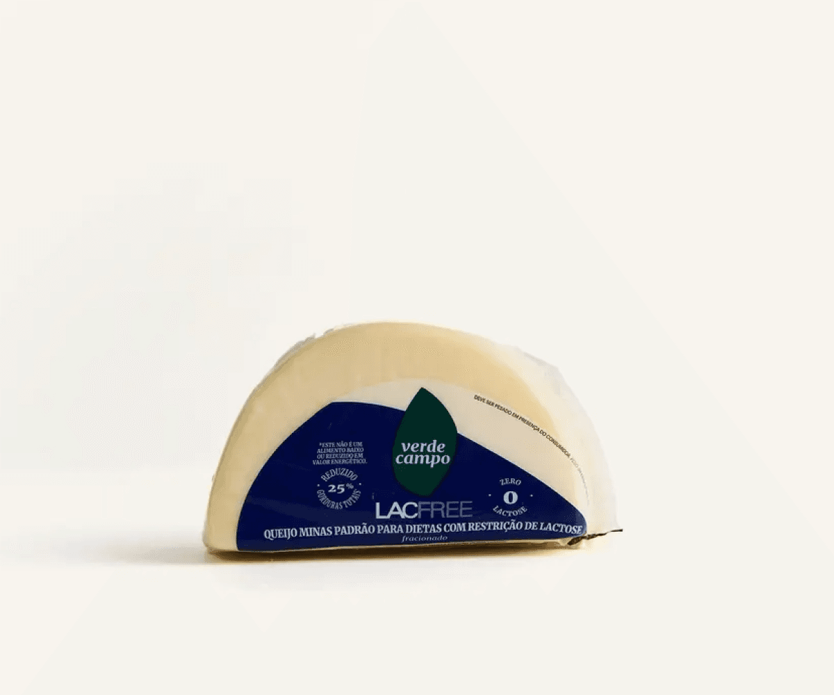 Queijo minas padrão Lacfree 450g