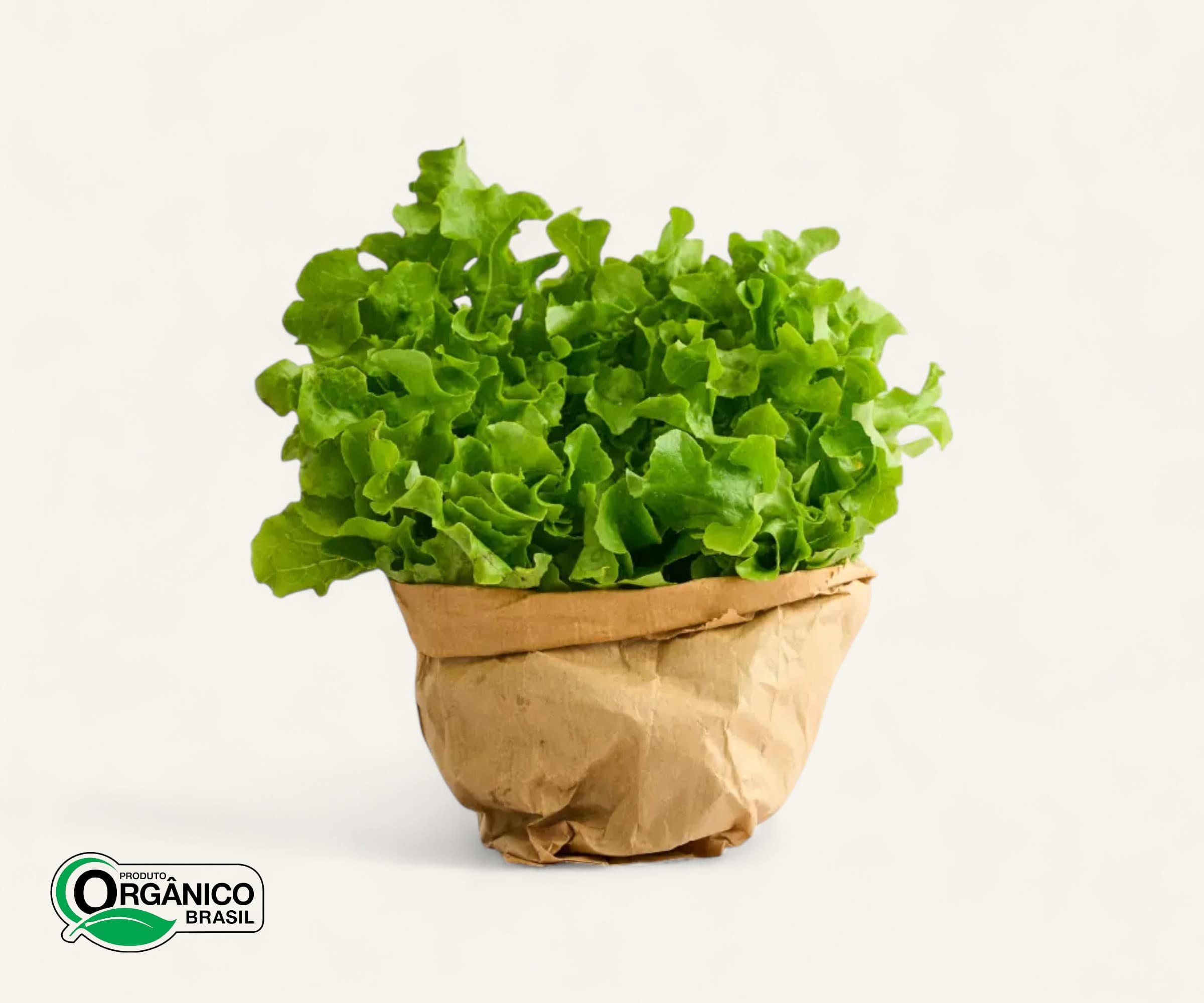 Alface mimosa orgânica 150g