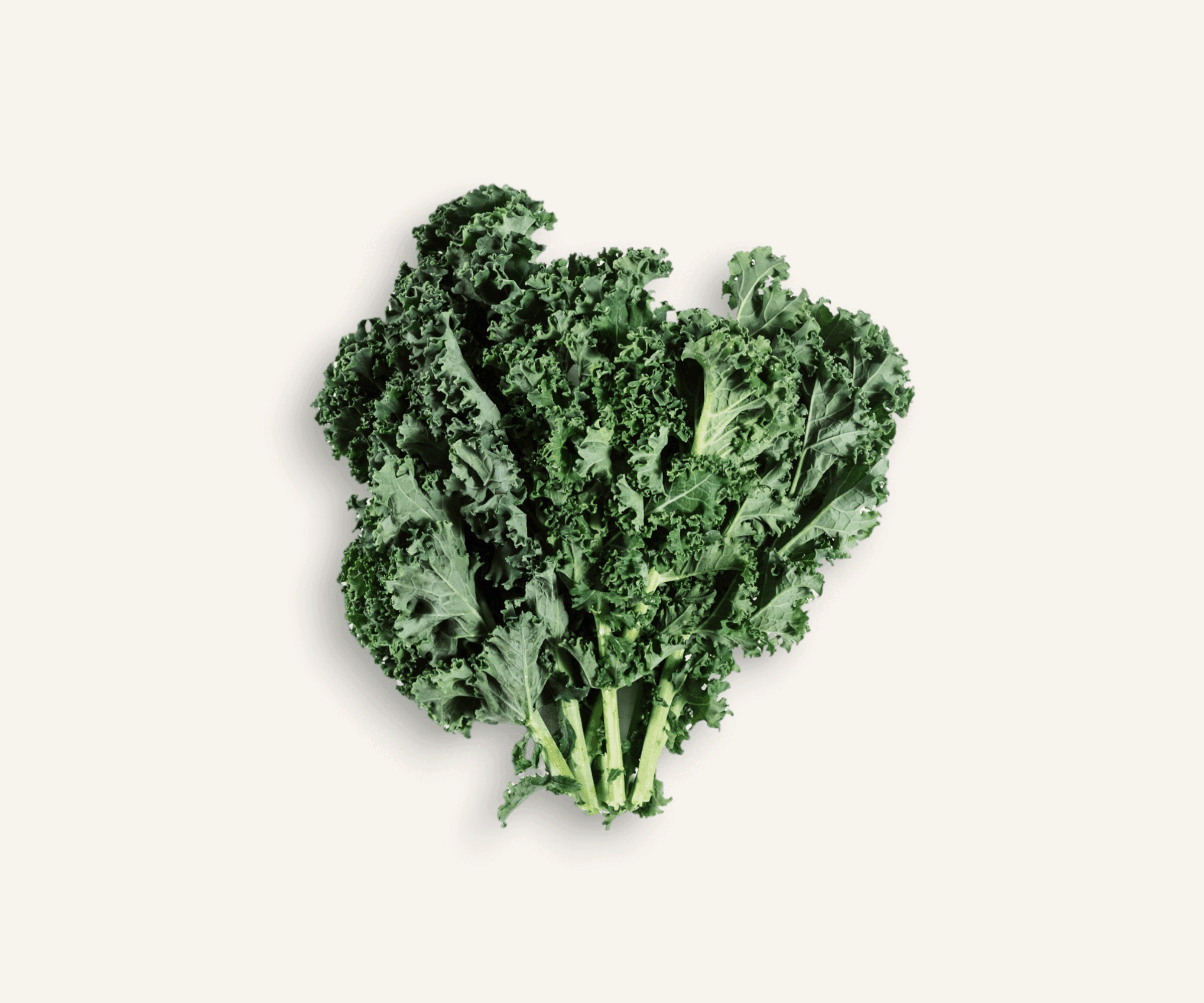 Couve Kale Verde orgânica 200g