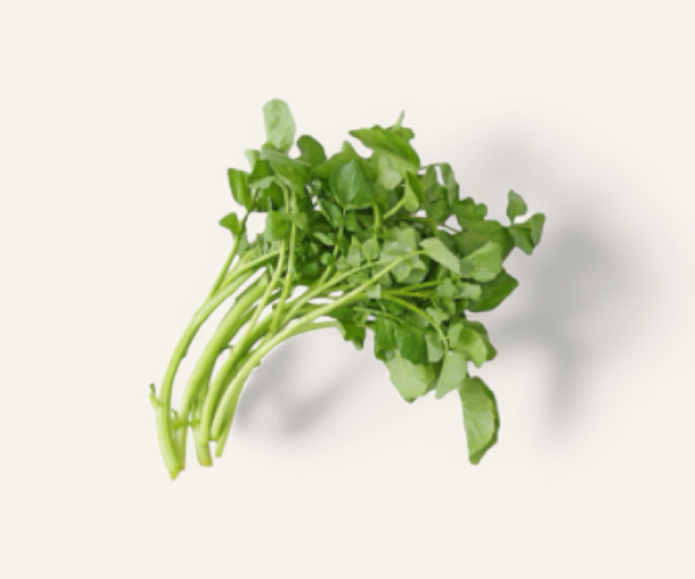 Agrião orgânico 150g