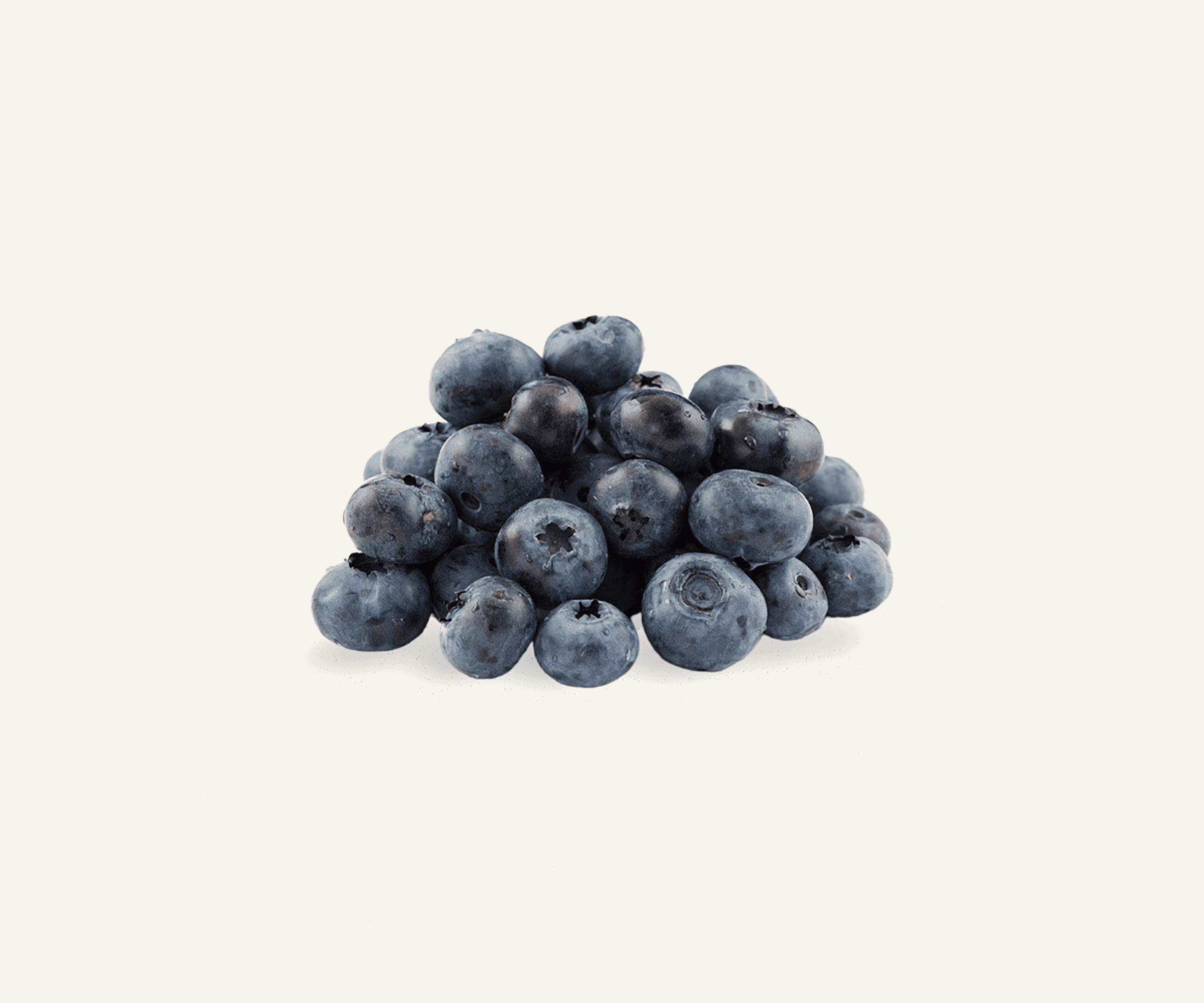 Mirtilo 125g