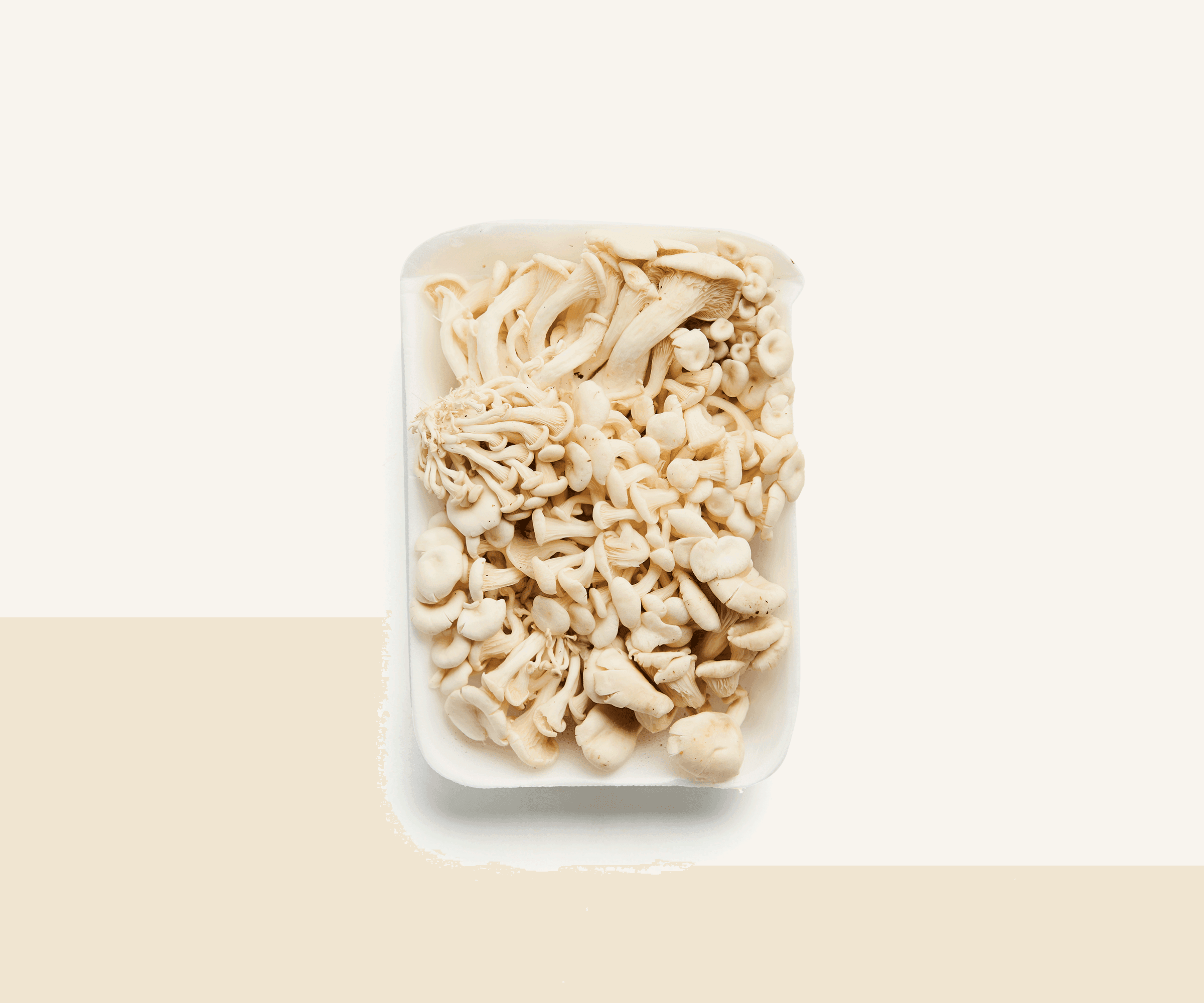 Cogumelo shimeji branco fresco 200g