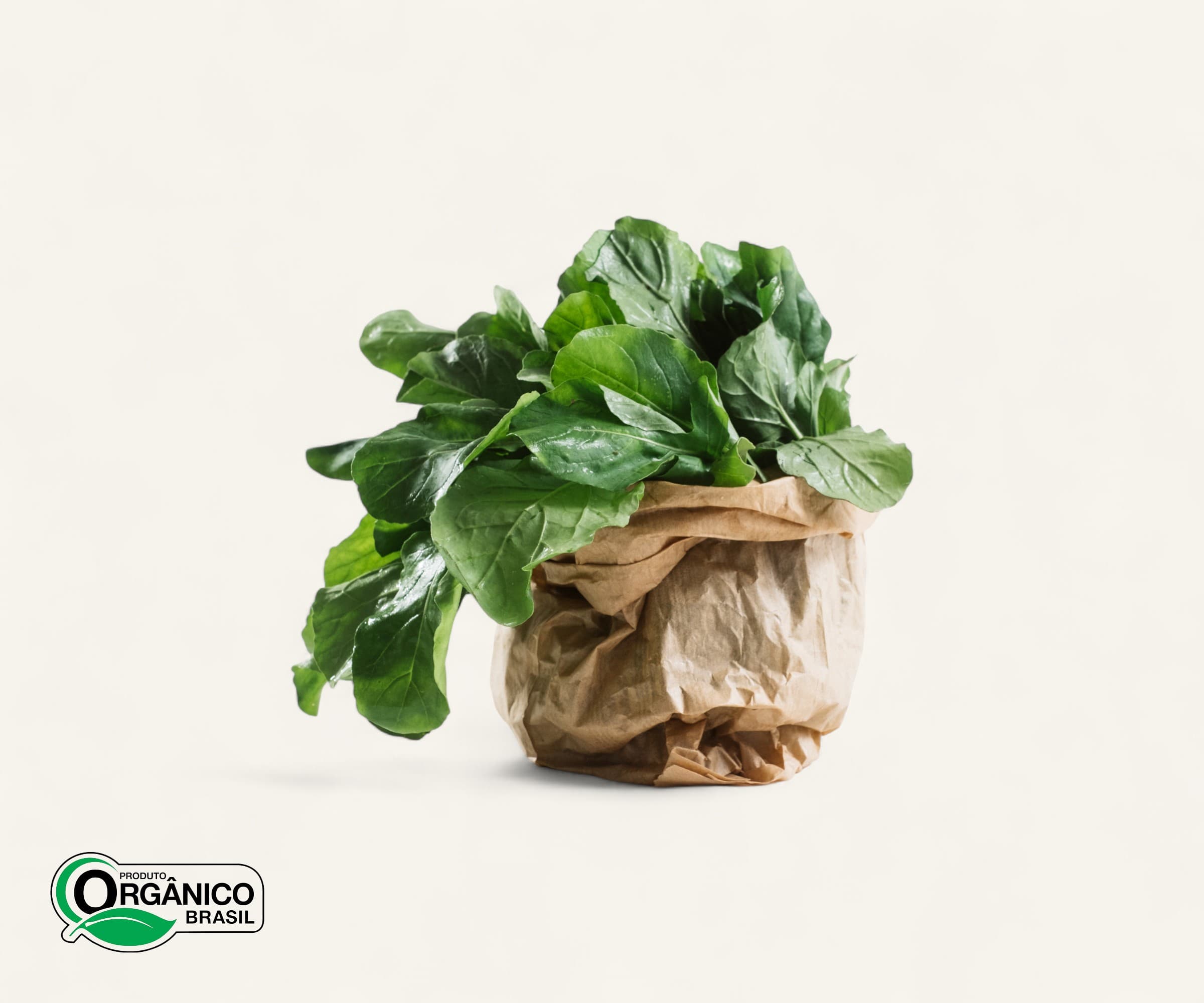 Rúcula orgânica 100g